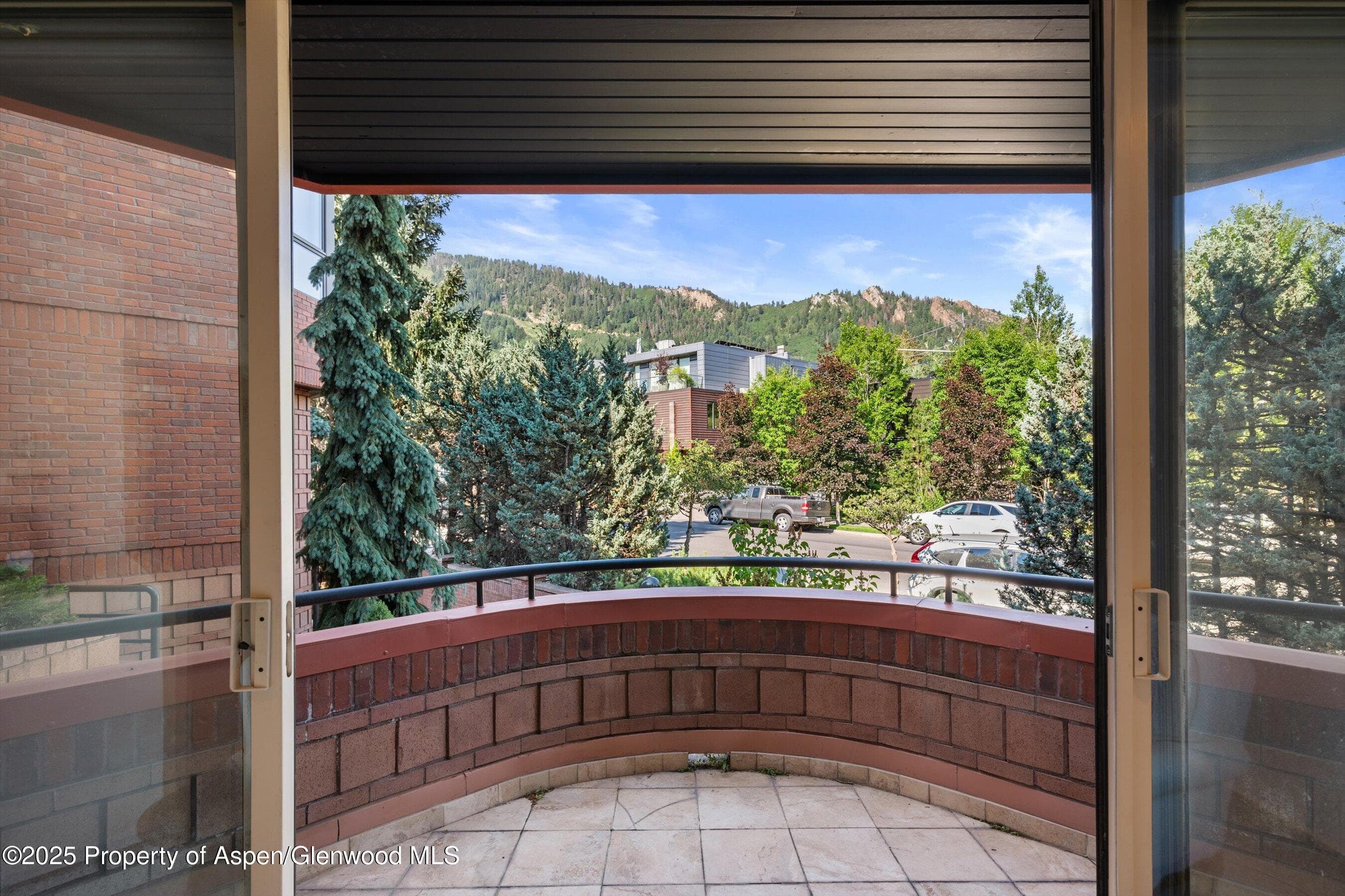 208 S Spring Street #1, Aspen, CO 81611 - Photo 13