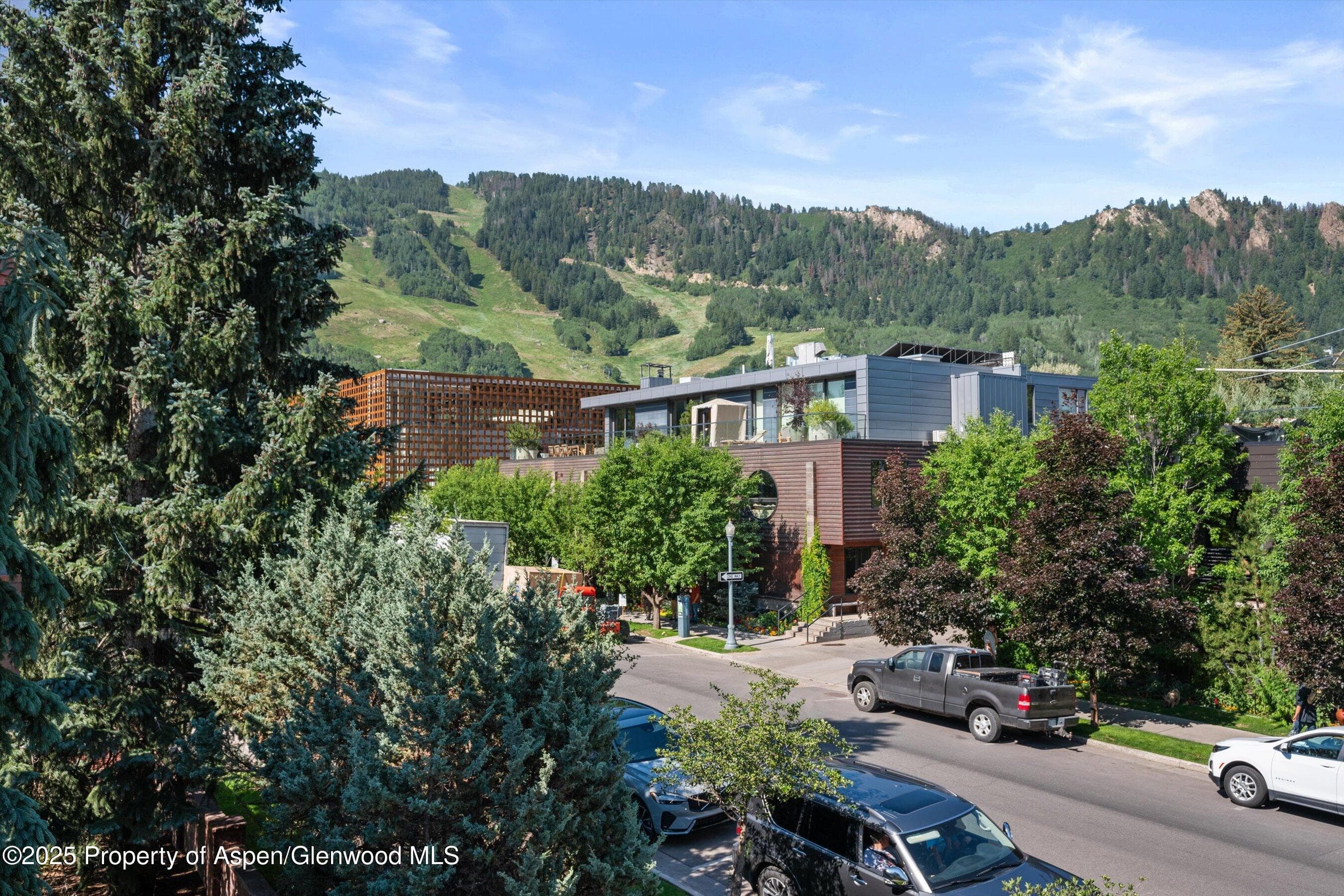 208 S Spring Street #1, Aspen, CO 81611 - Photo 27