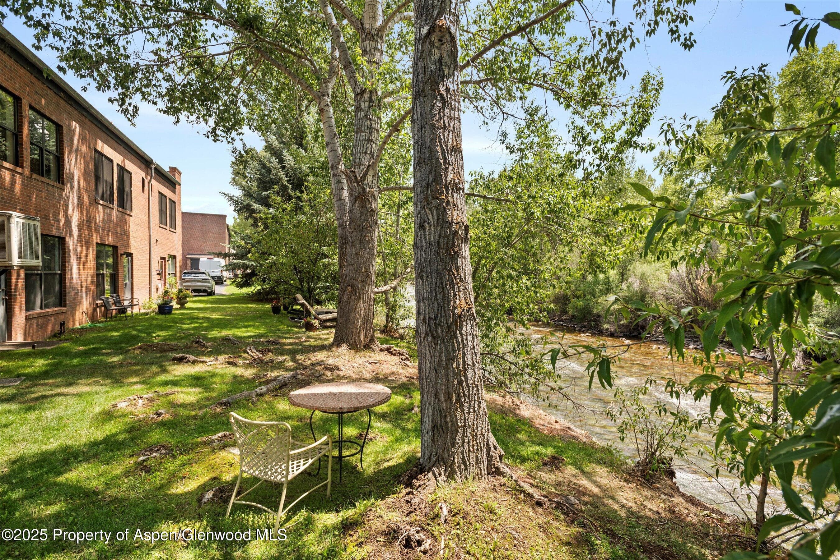 23286 Two Rivers Road Unit 23, Basalt, CO 81621 - Photo 2