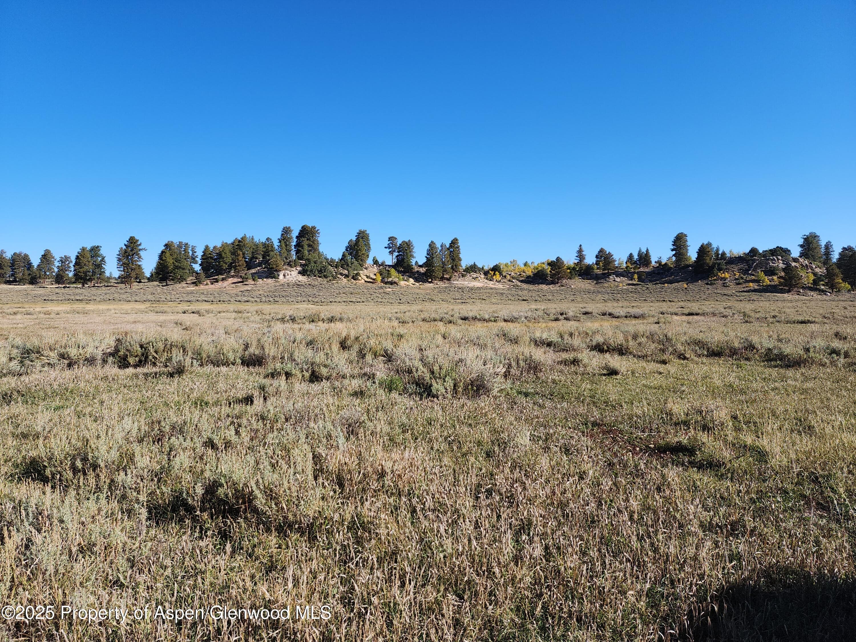 TBD Divide Road Louie Pasture, Whitewater, CO 81527 - Photo 6