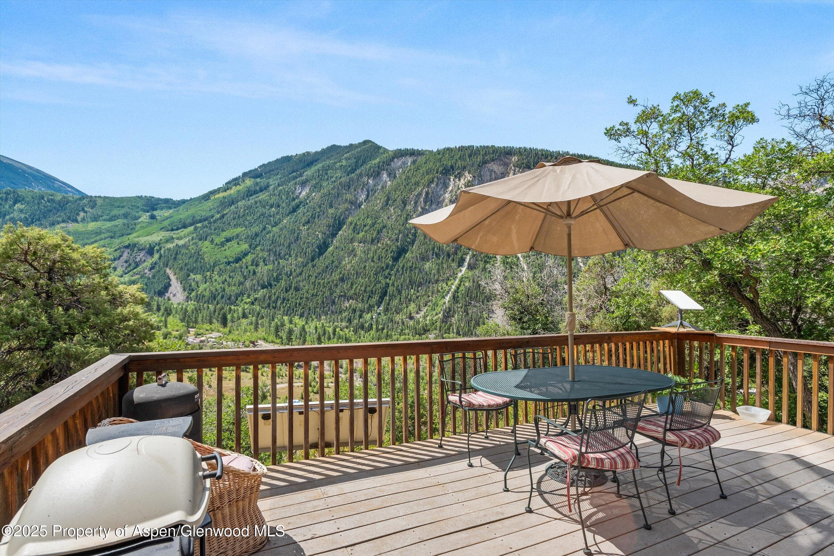 860 Serpentine Trail, Marble, CO 81623 - Photo 4