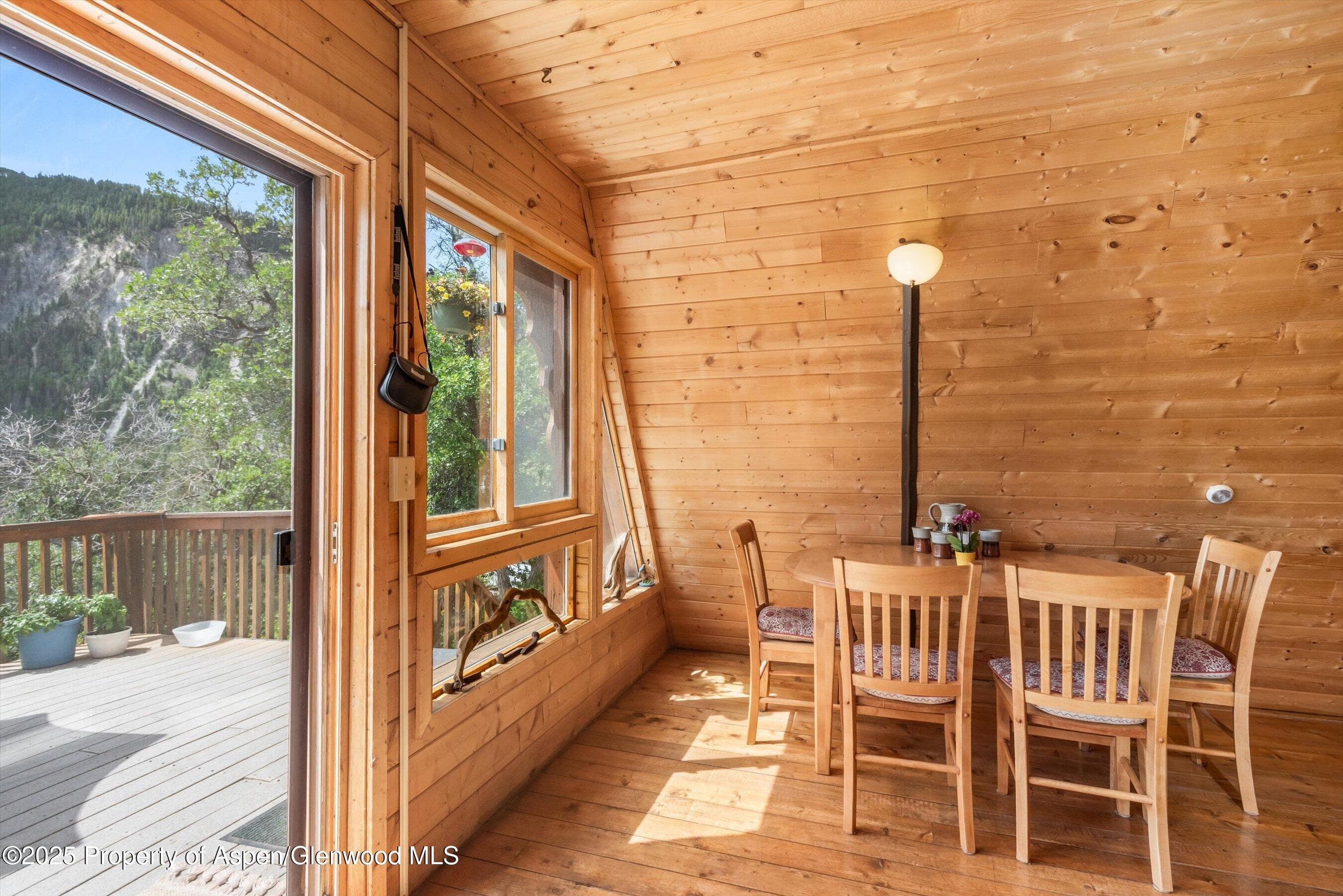 860 Serpentine Trail, Marble, CO 81623 - Photo 20