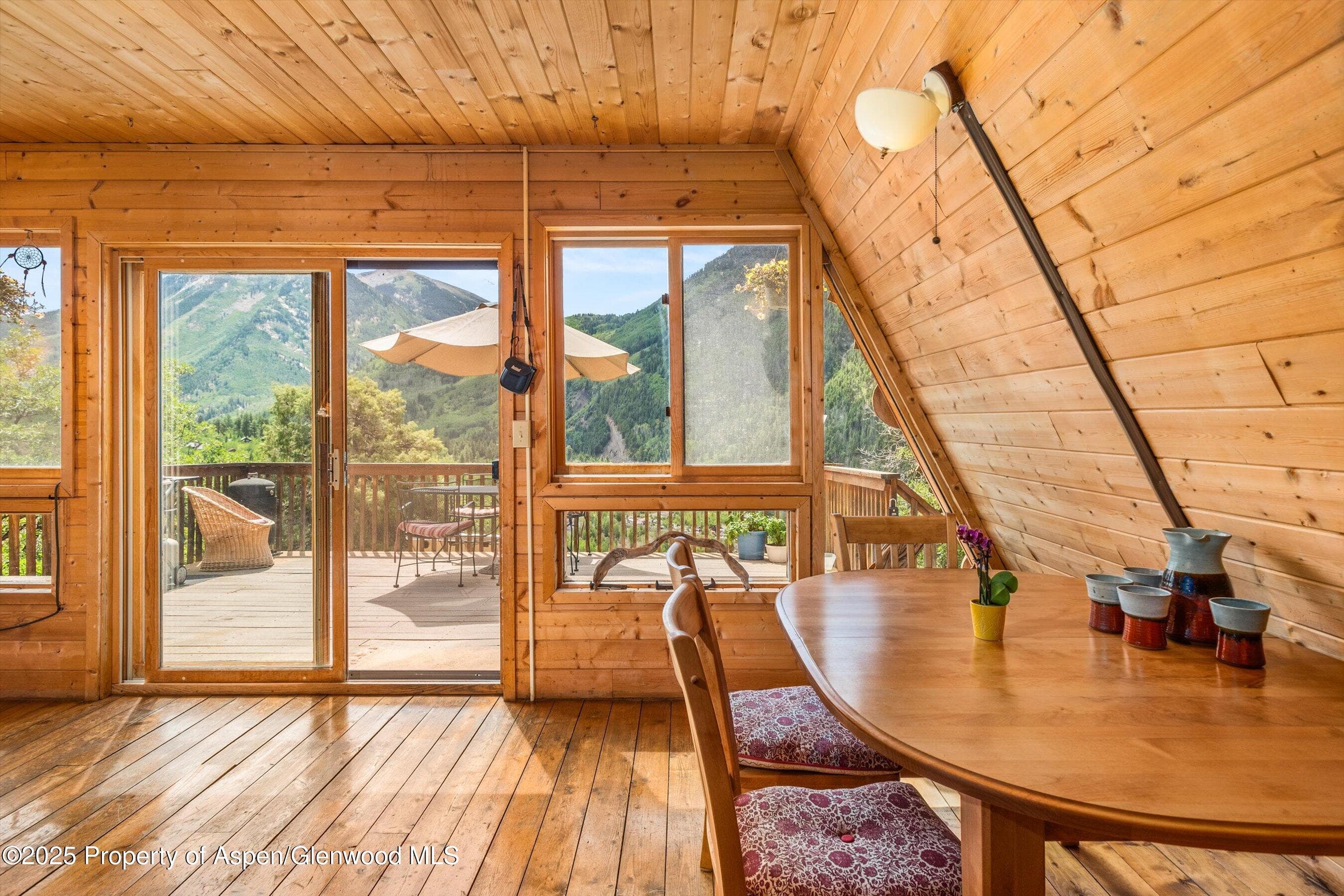 860 Serpentine Trail, Marble, CO 81623 - Photo 6