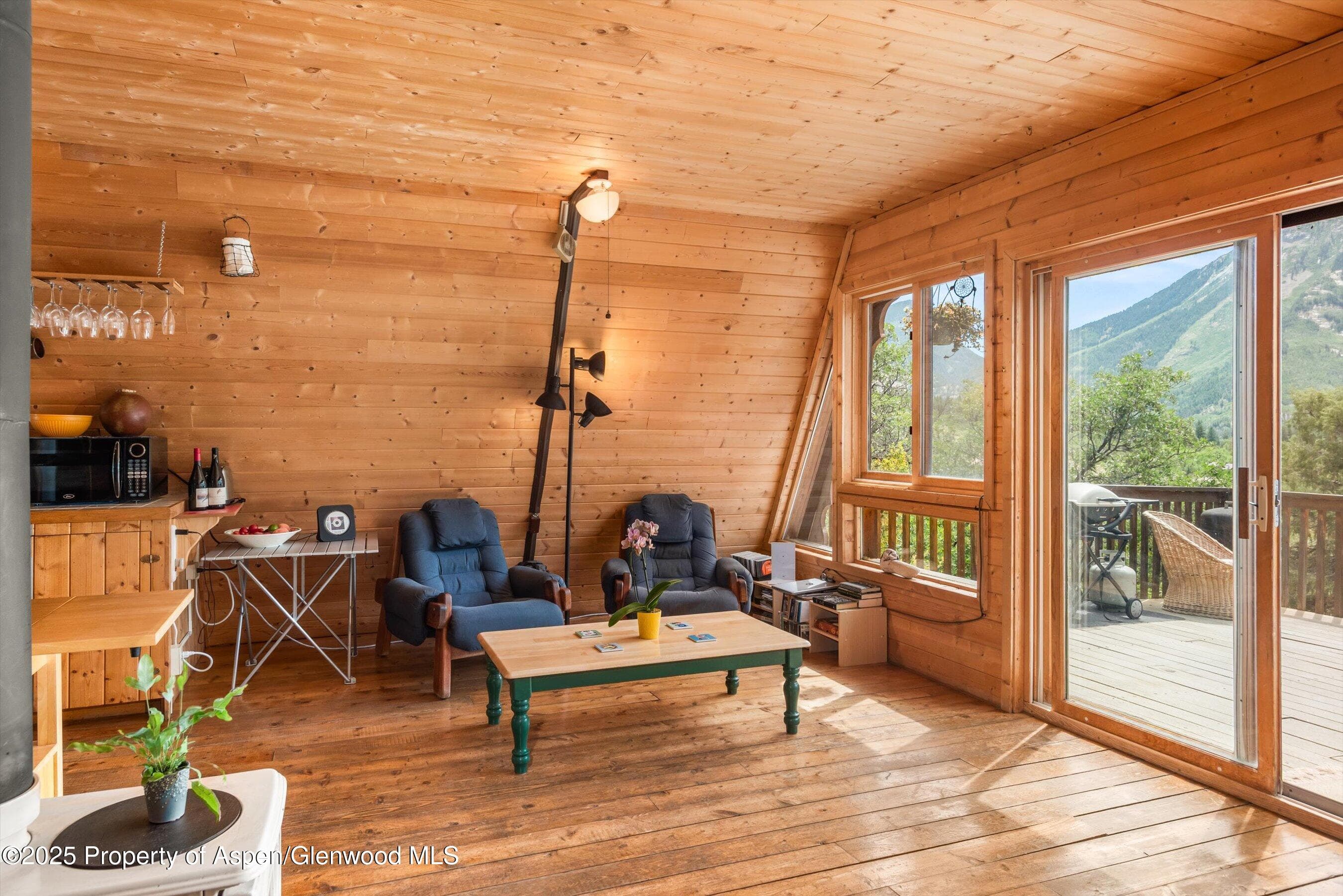 860 Serpentine Trail, Marble, CO 81623 - Photo 21