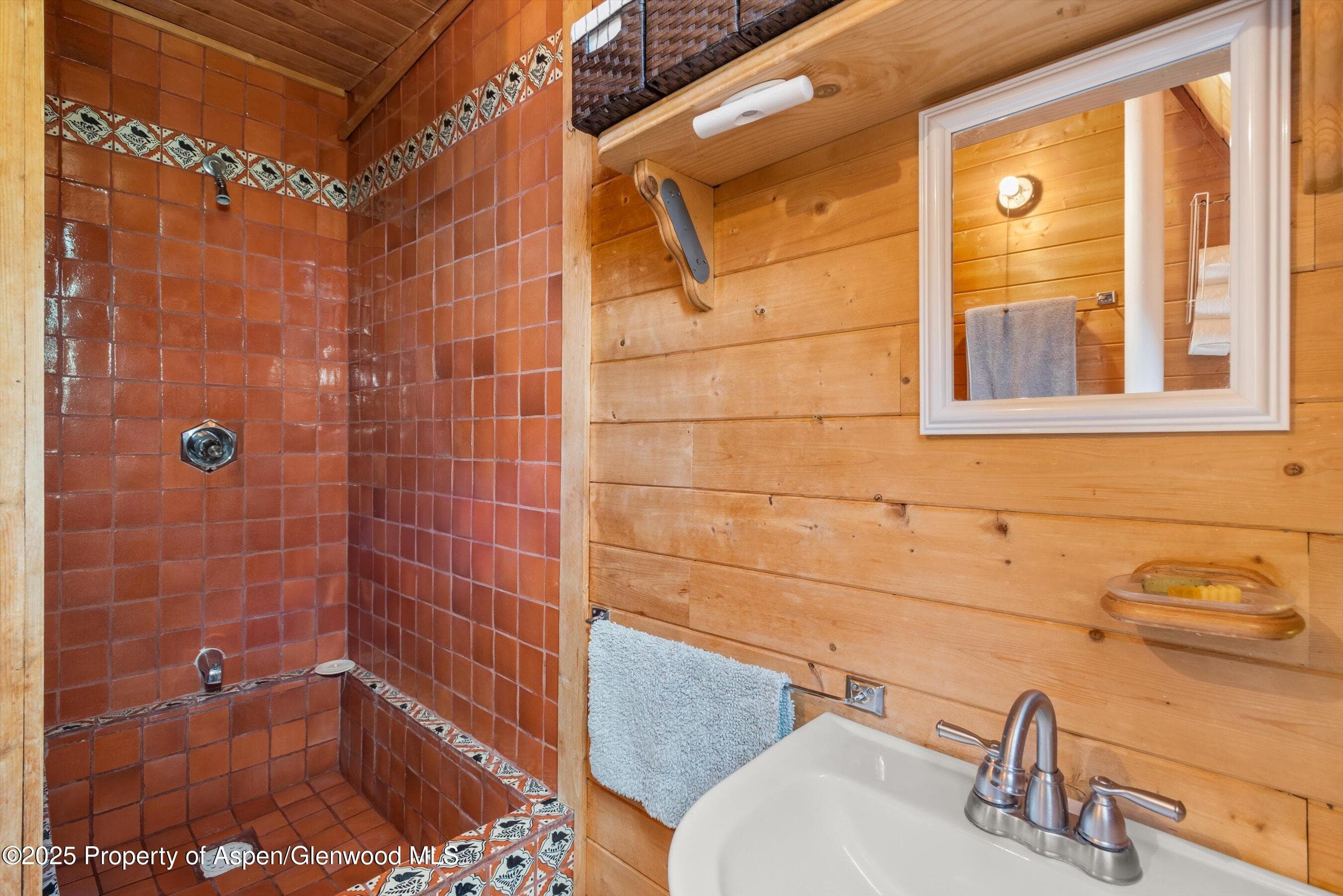 860 Serpentine Trail, Marble, CO 81623 - Photo 33