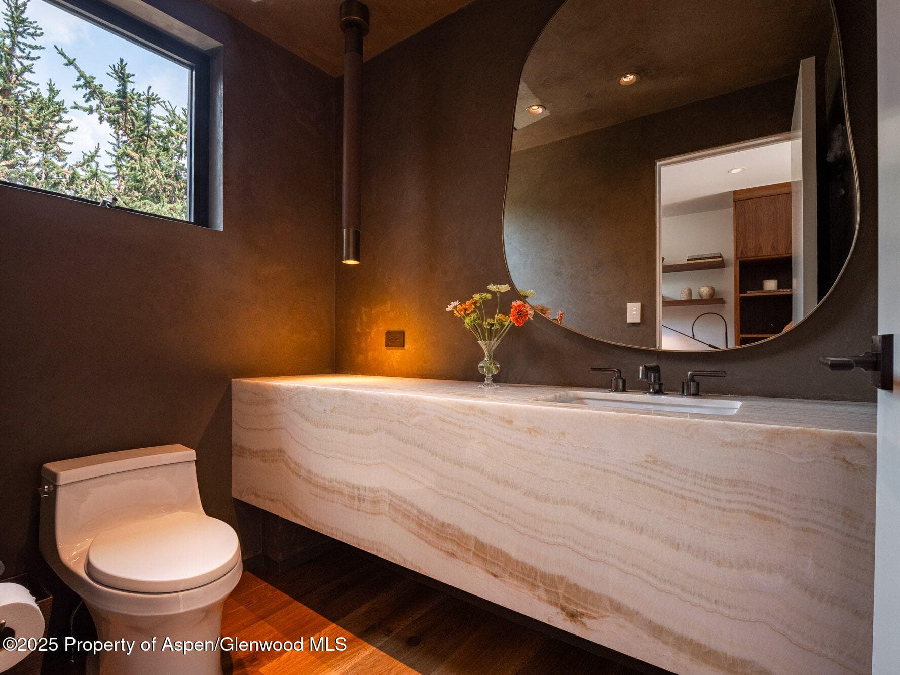 624 E Hopkins Avenue, Aspen, CO 81611 - Photo 12
