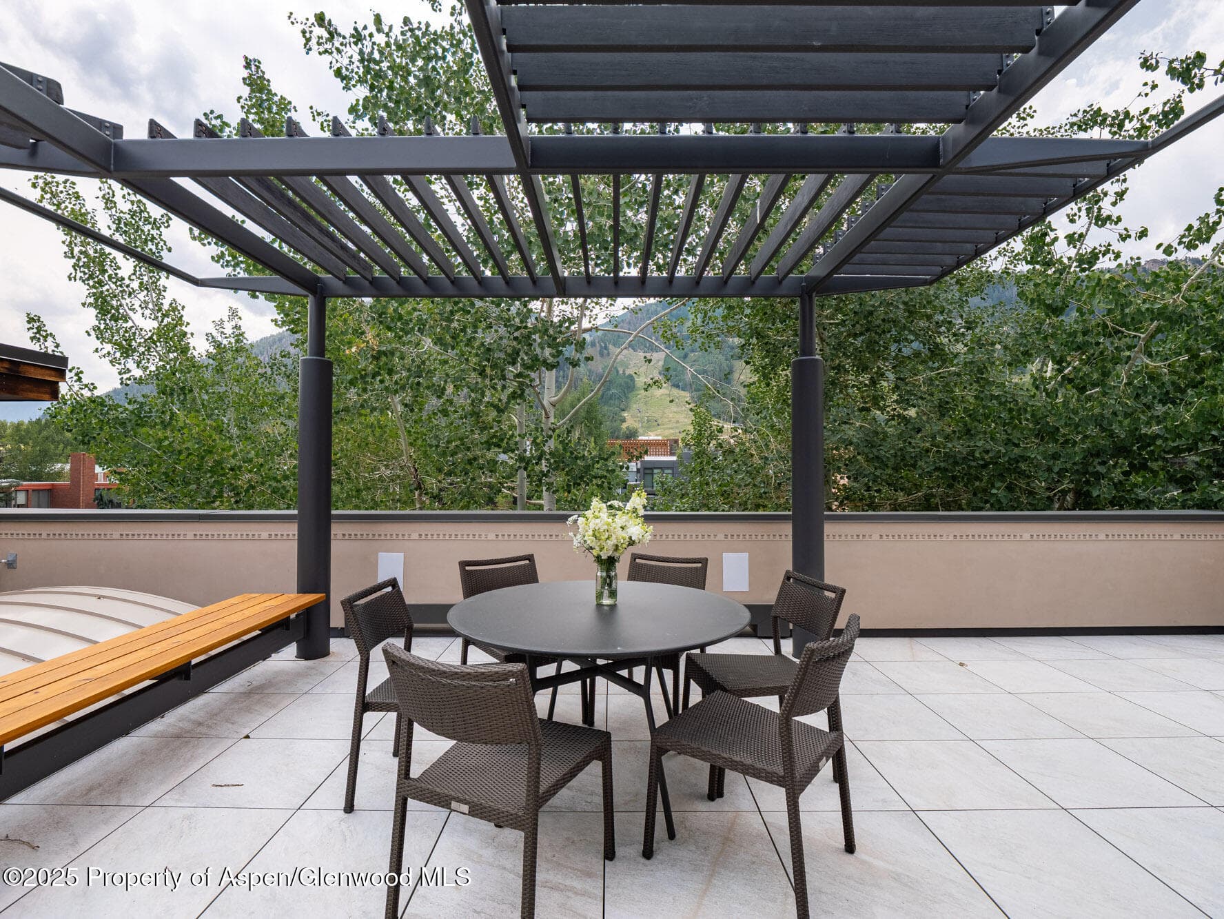624 E Hopkins Avenue, Aspen, CO 81611 - Photo 22