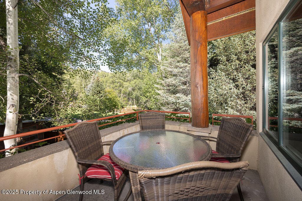 109 Neale Avenue, Aspen, CO 81611 - Photo 9