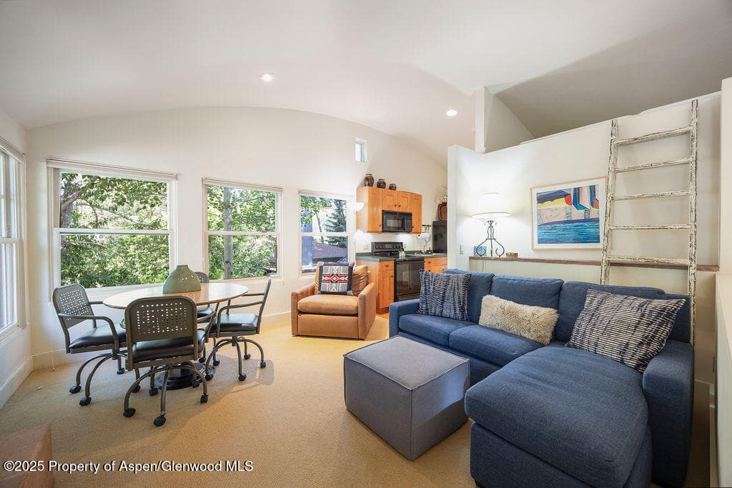 109 Neale Avenue, Aspen, CO 81611 - Photo 11