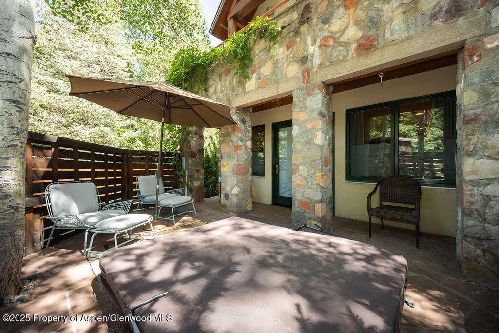 109 Neale Avenue, Aspen, CO 81611 - Photo 37