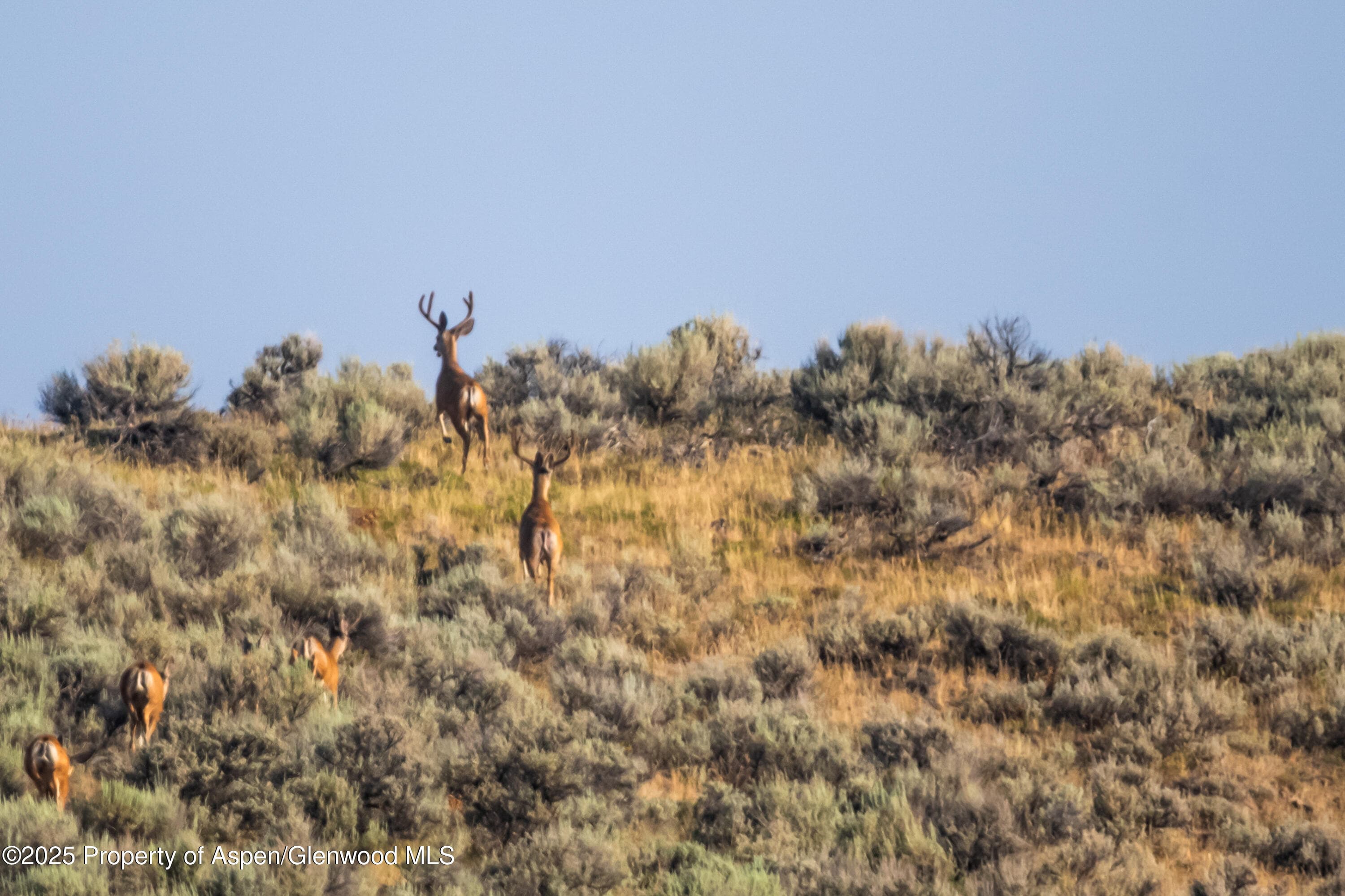 TBD CR 29, Craig, CO 81625 - Photo 36