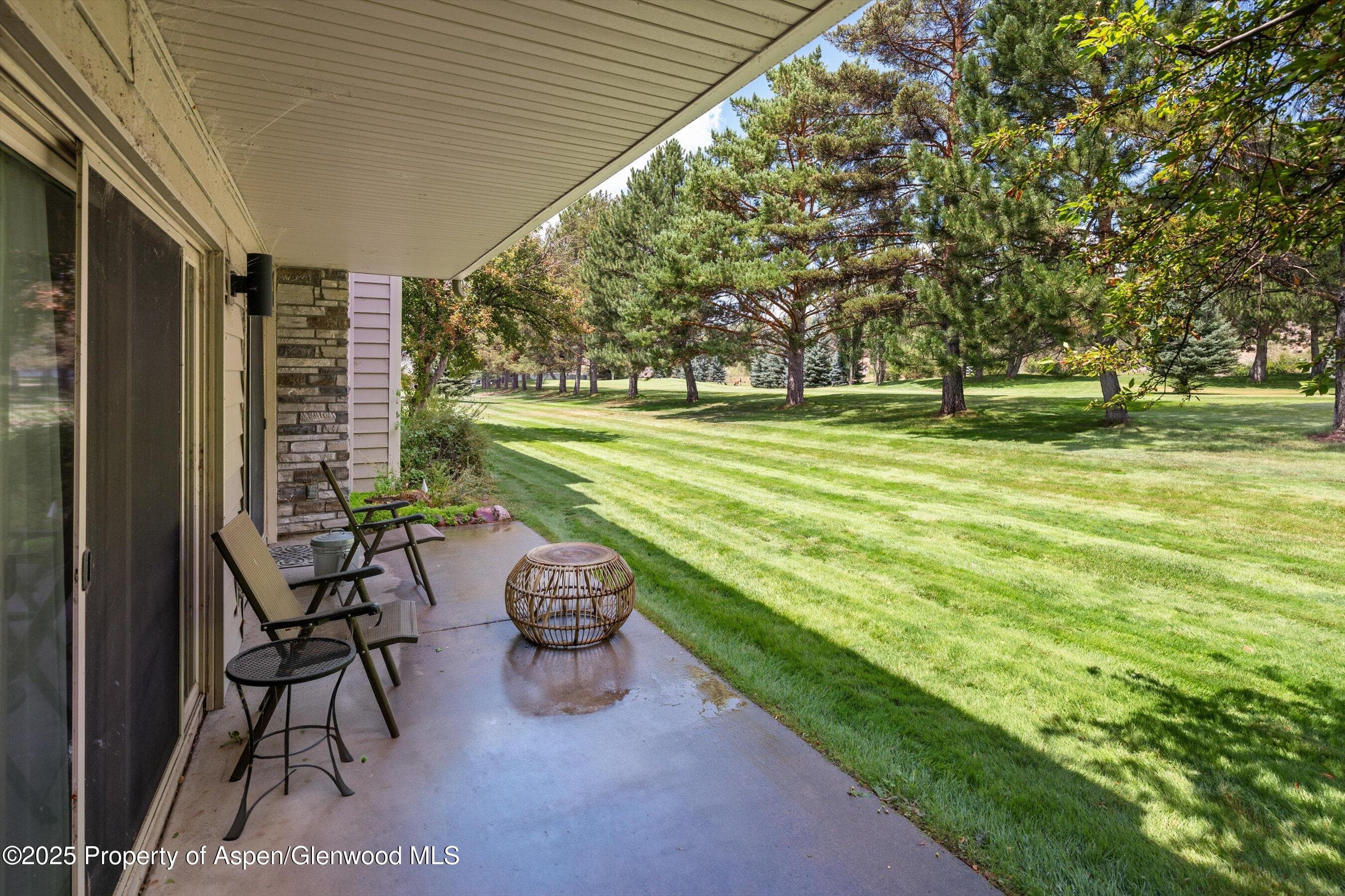 14913 Hwy 82 275, Carbondale, CO 81623 - Photo 18