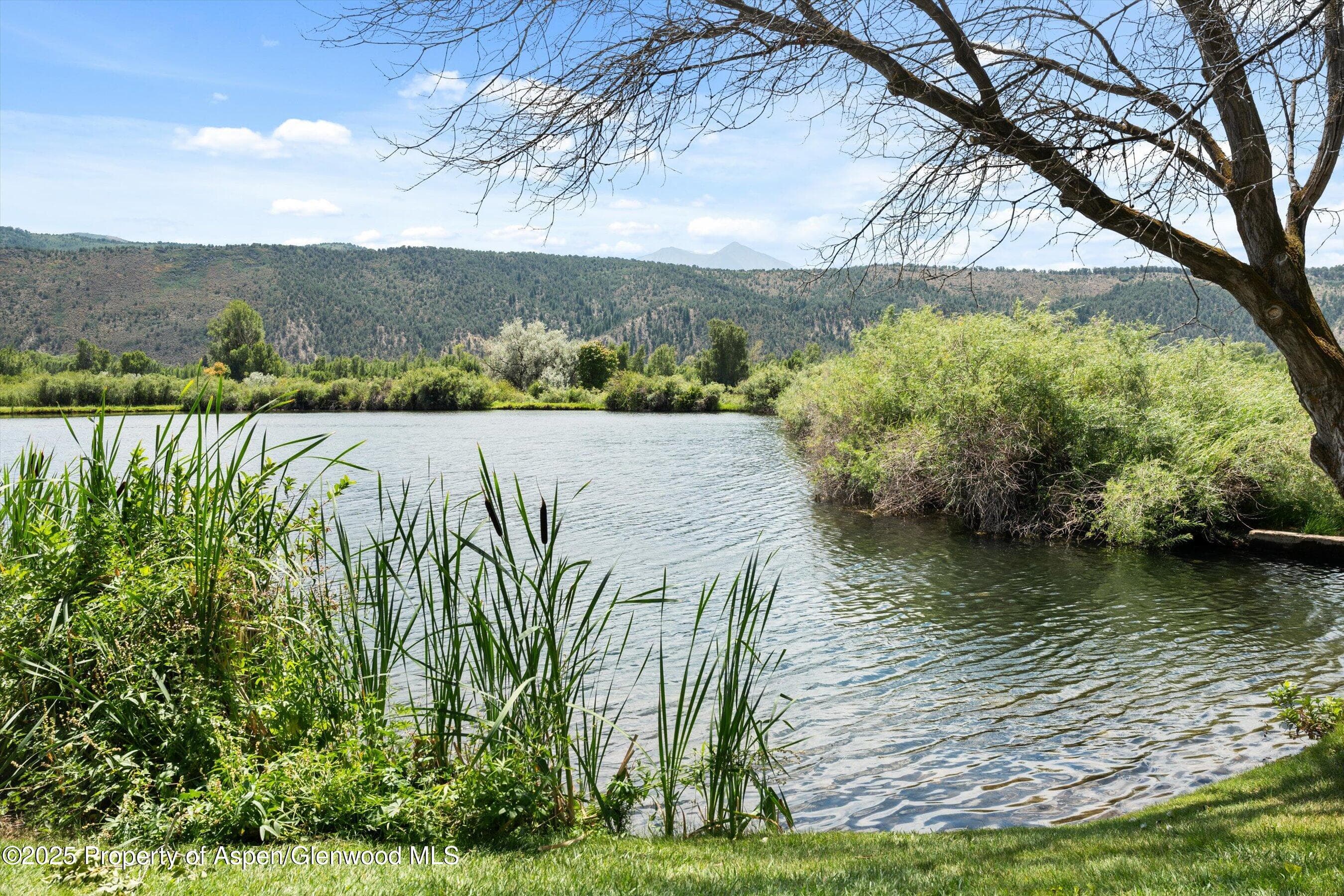 14913 Hwy 82 275, Carbondale, CO 81623 - Photo 29