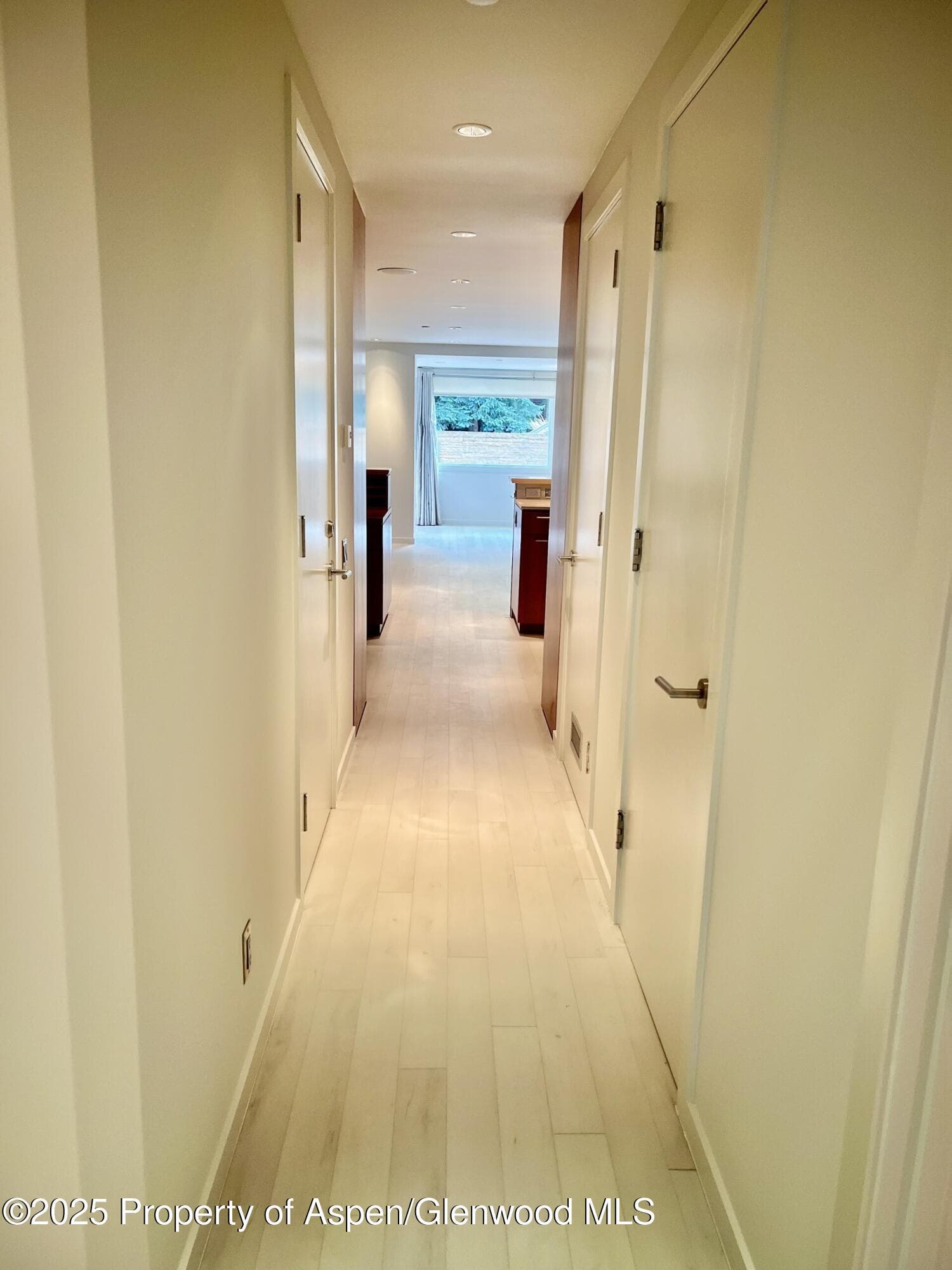 100 E COOPER Avenue 2, Aspen, CO 81611 - Photo 9