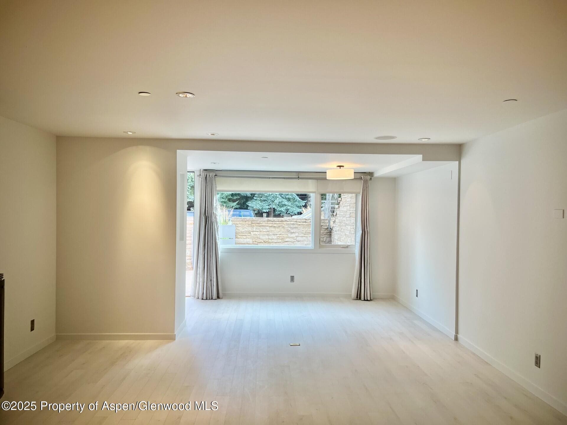 100 E COOPER Avenue 2, Aspen, CO 81611 - Photo 2