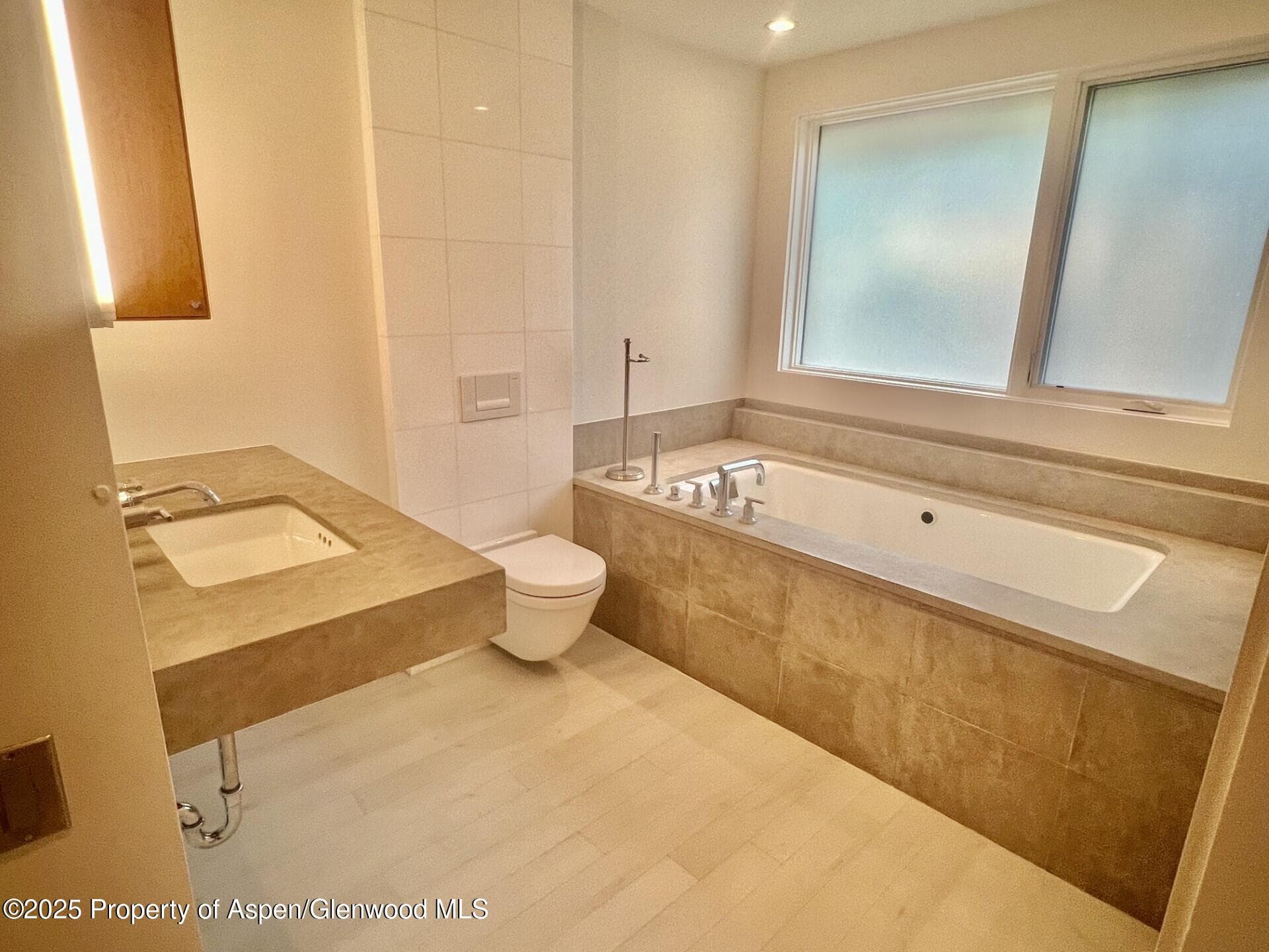 100 E COOPER Avenue 2, Aspen, CO 81611 - Photo 11