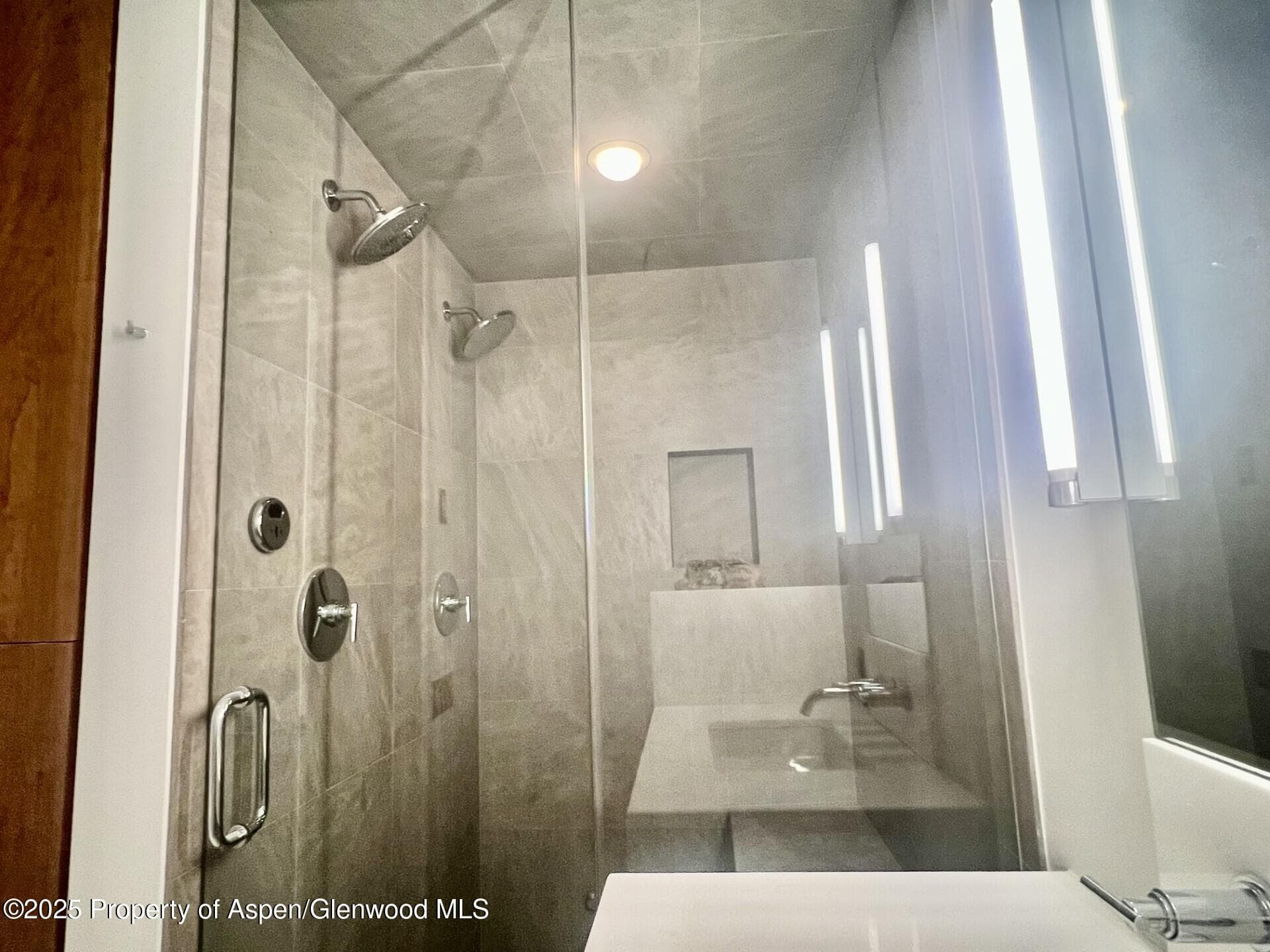 100 E COOPER Avenue 2, Aspen, CO 81611 - Photo 12