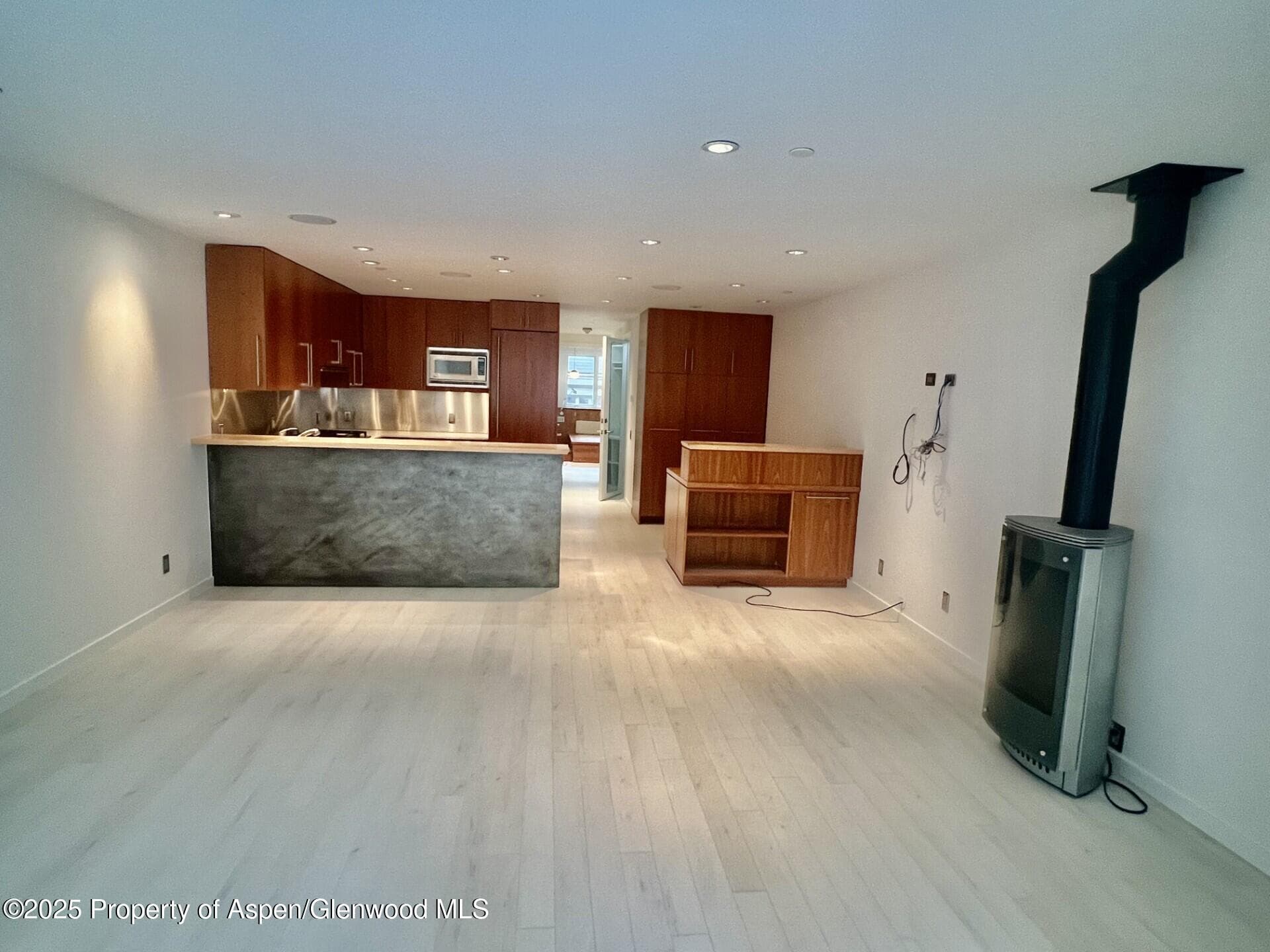 100 E COOPER Avenue 2, Aspen, CO 81611 - Photo 4