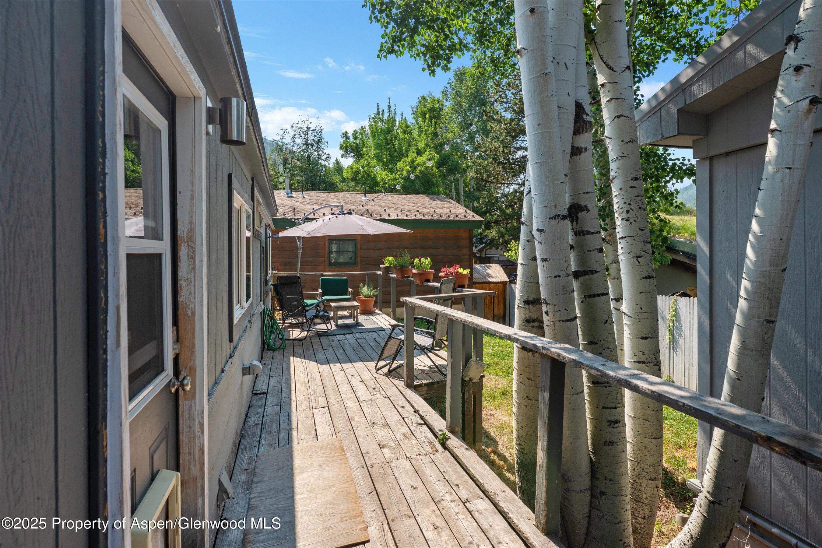 306 Oak Lane, Aspen, CO 81611 - Photo 17