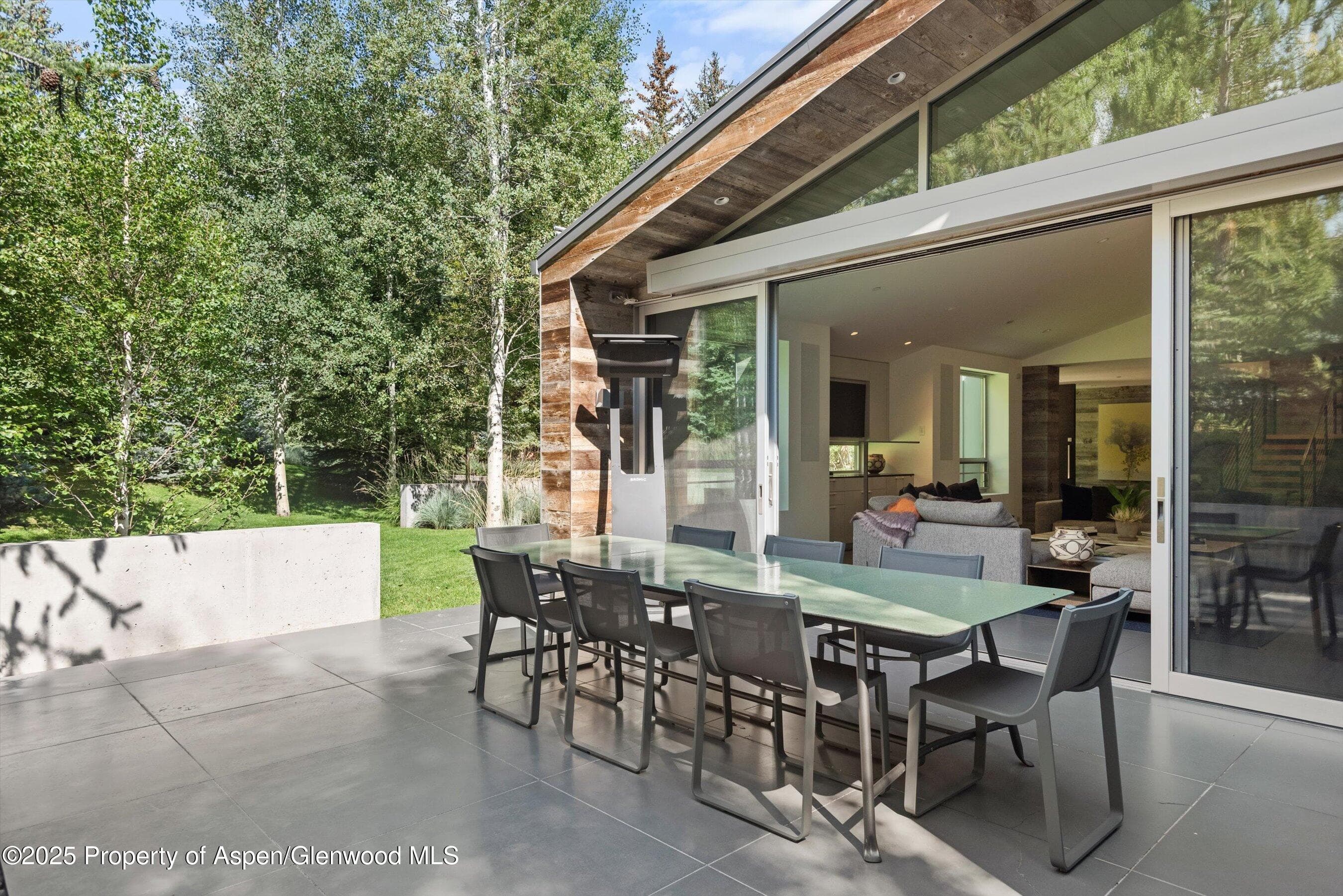 1180 Black Birch Drive, Aspen, CO 81611 - Photo 16