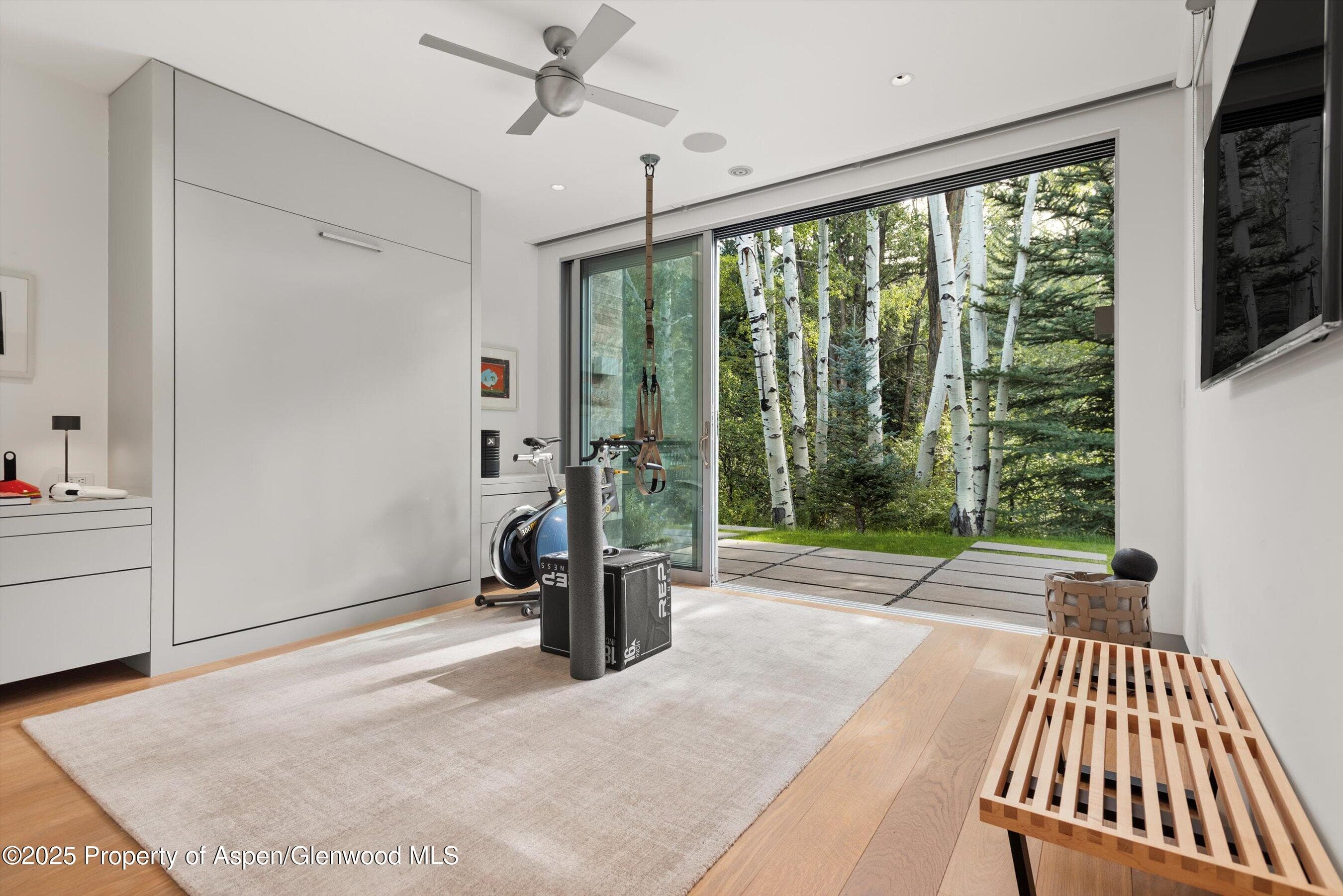1180 Black Birch Drive, Aspen, CO 81611 - Photo 14