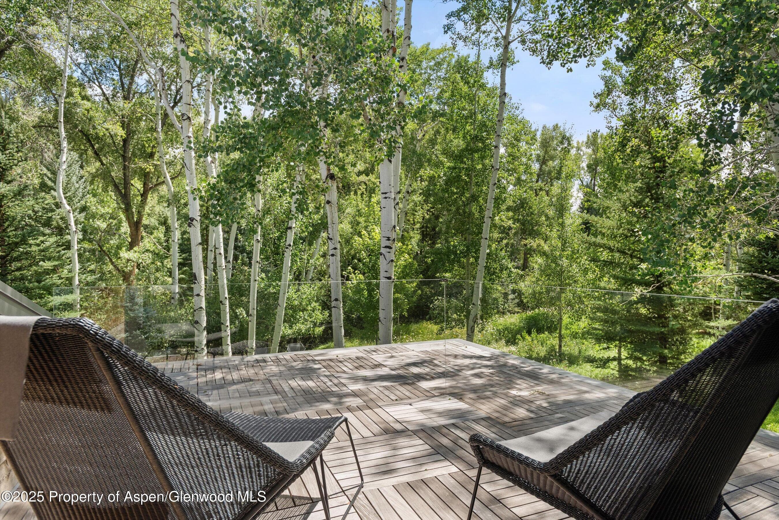 1180 Black Birch Drive, Aspen, CO 81611 - Photo 11