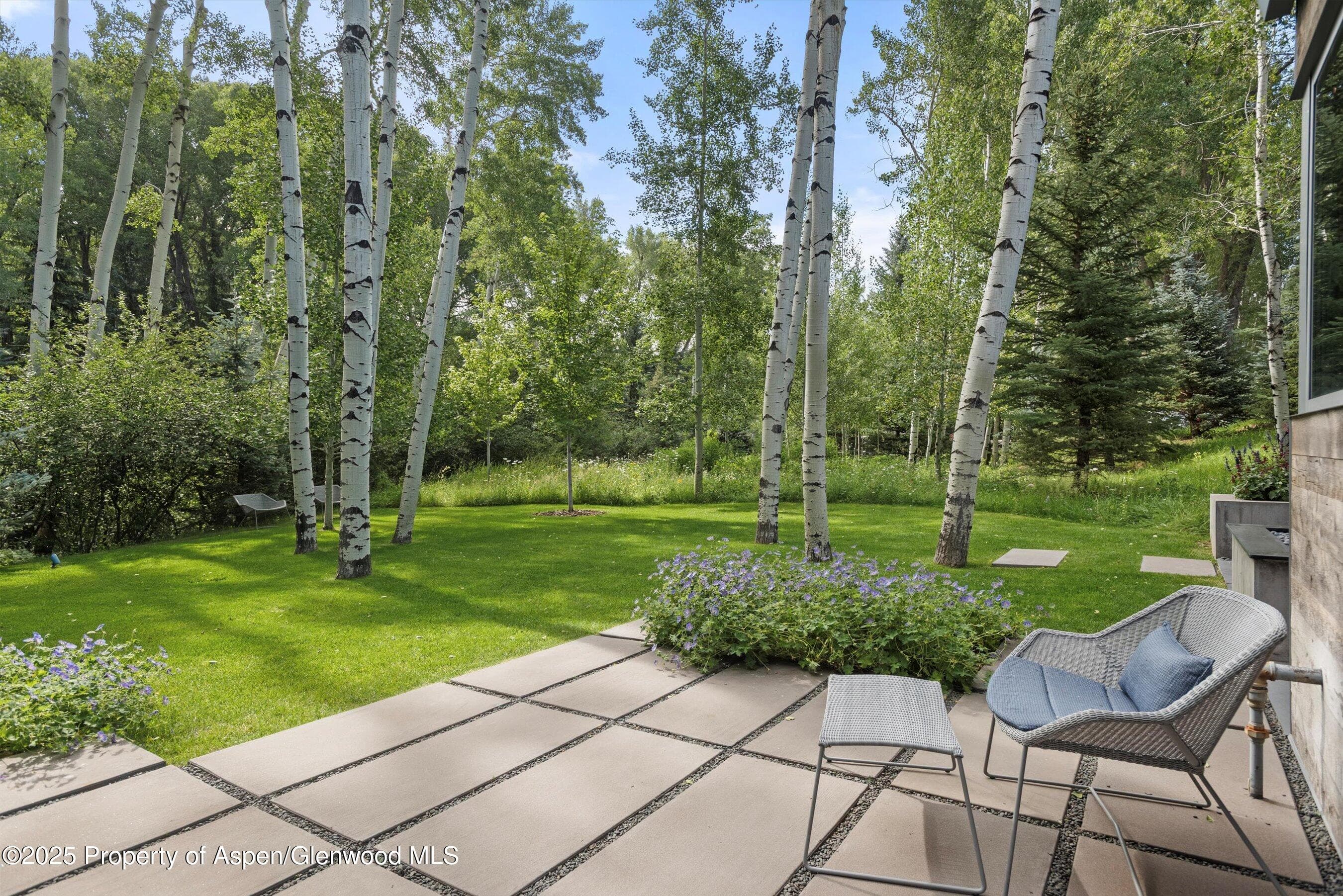 1180 Black Birch Drive, Aspen, CO 81611 - Photo 25