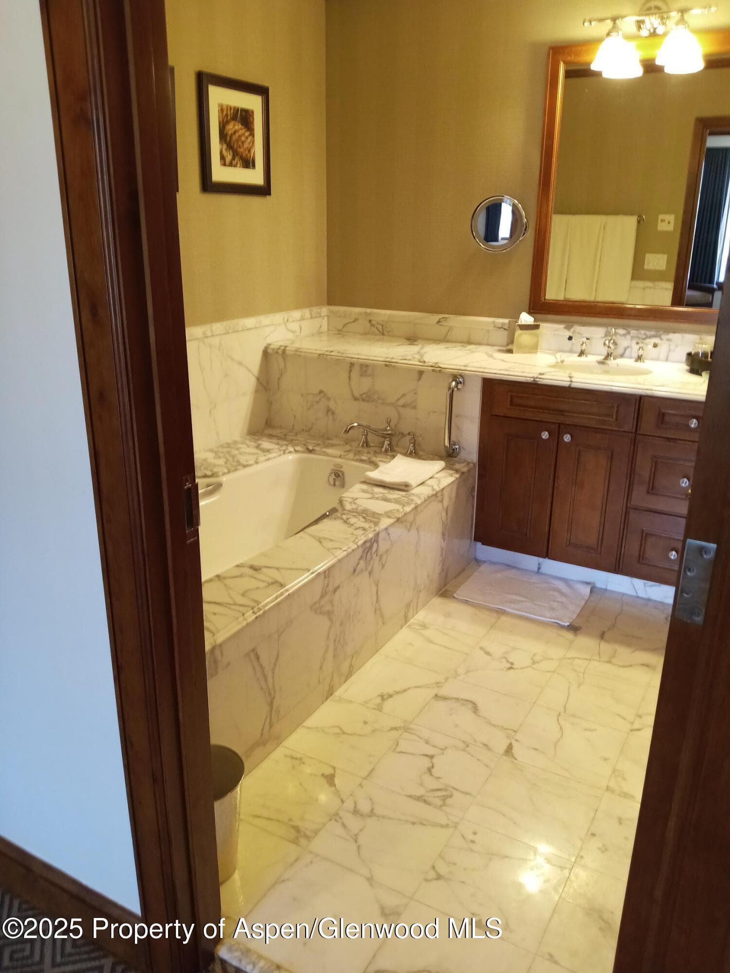 0075 Prospector Road Unit 8308 Winter Interest 3, Aspen, CO 81611 - Photo 26