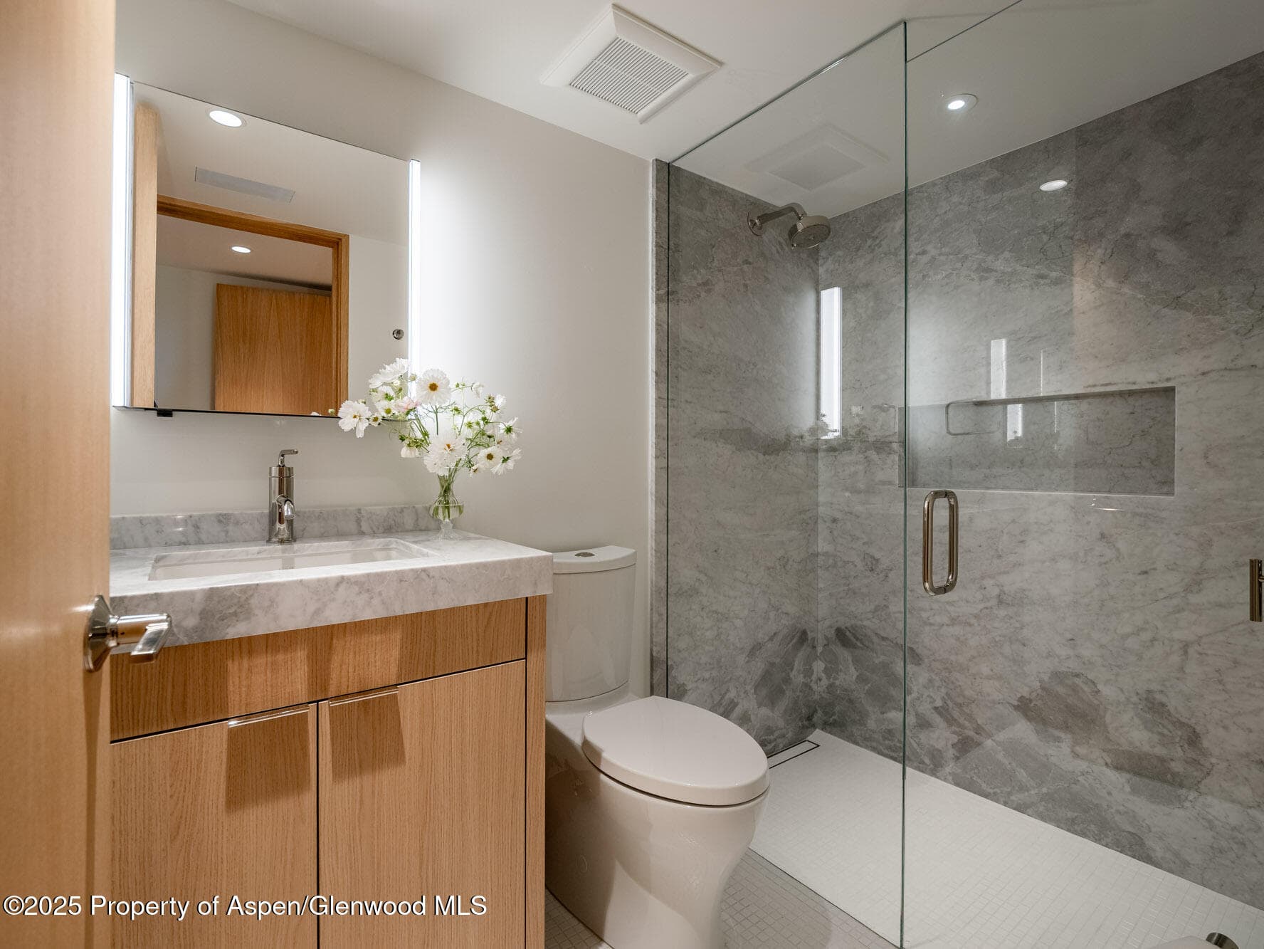 51 Roaring Fork Drive, Aspen, CO 81611 - Photo 28