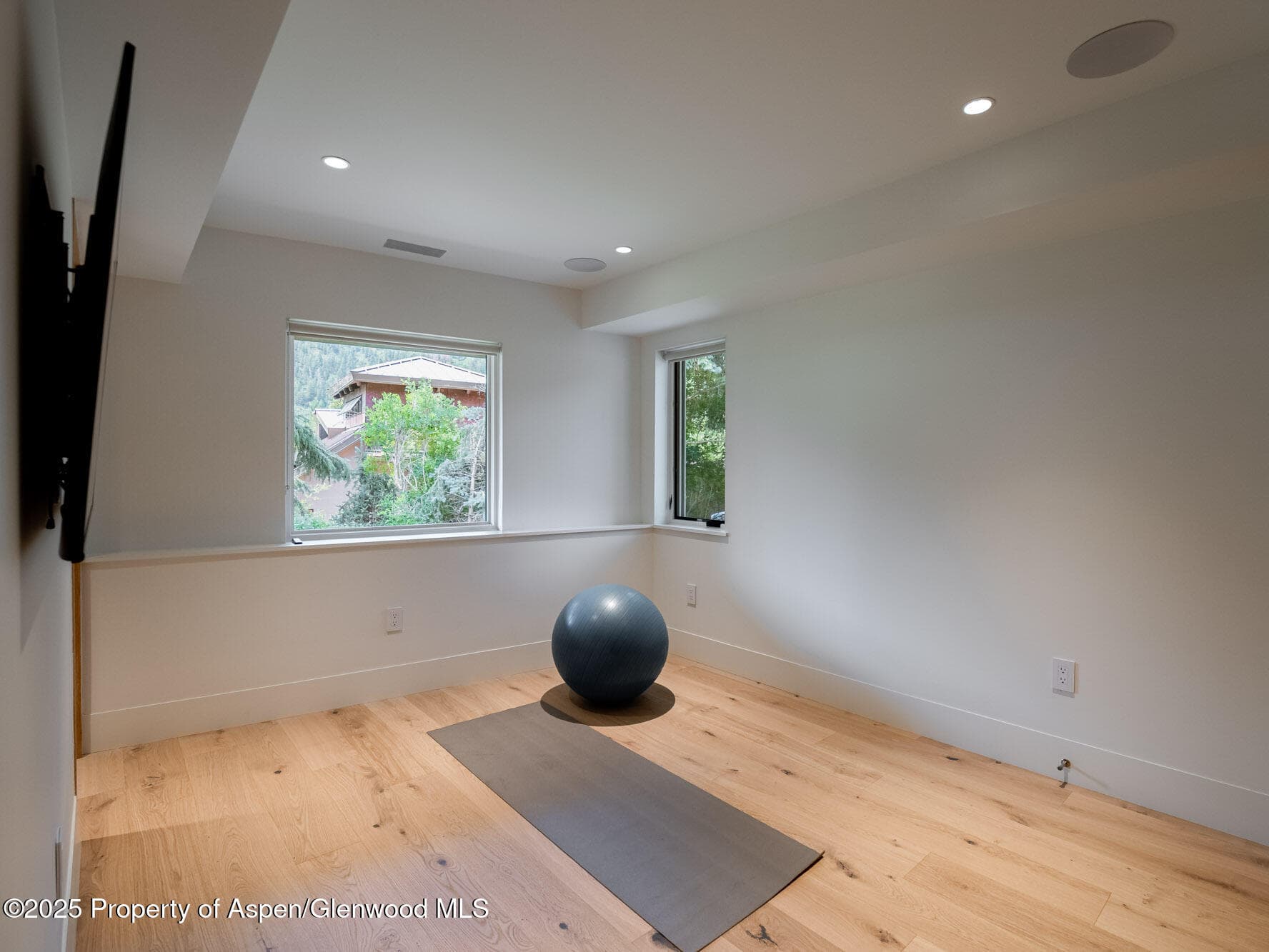 51 Roaring Fork Drive, Aspen, CO 81611 - Photo 27