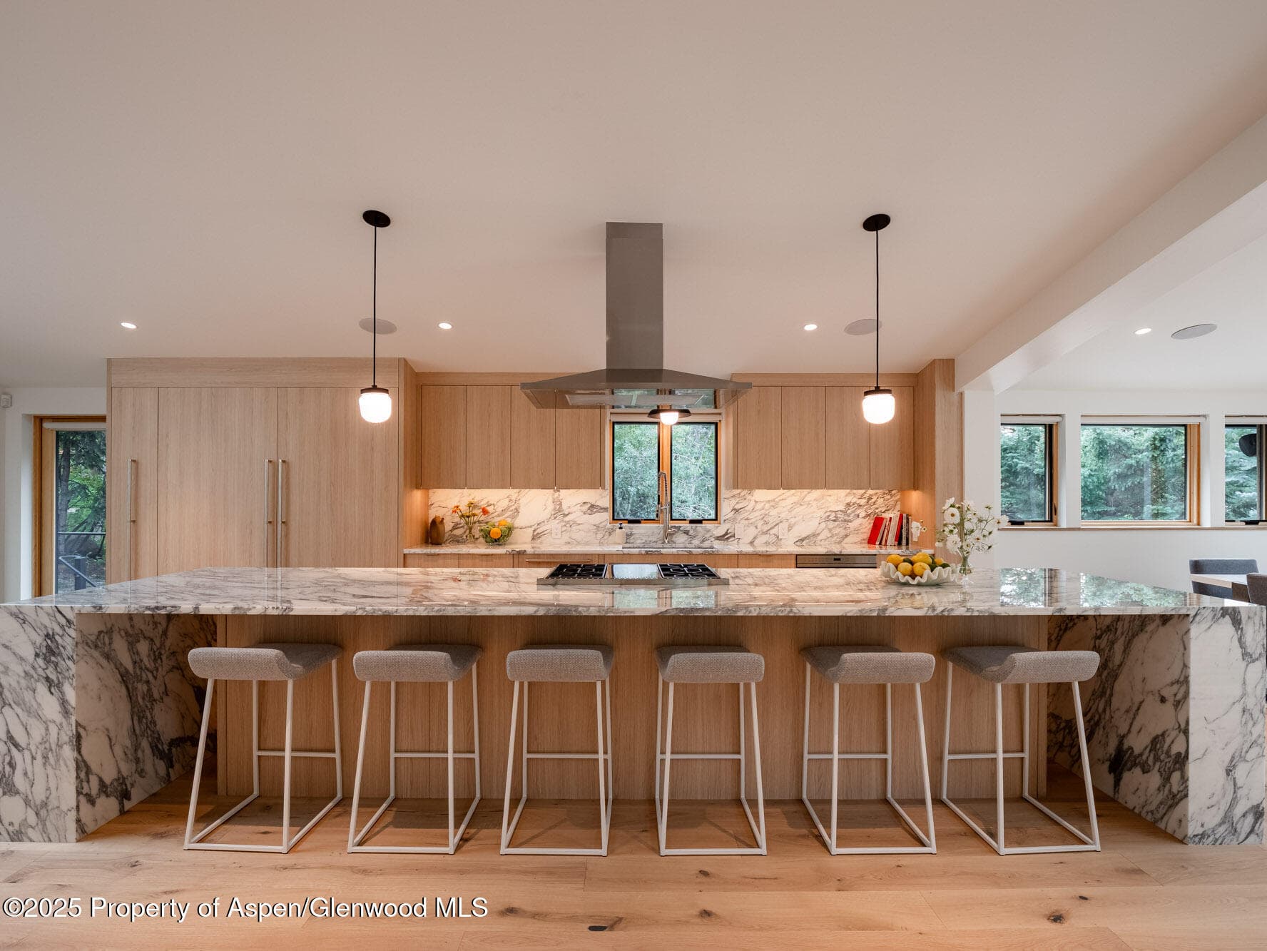 51 Roaring Fork Drive, Aspen, CO 81611 - Photo 13