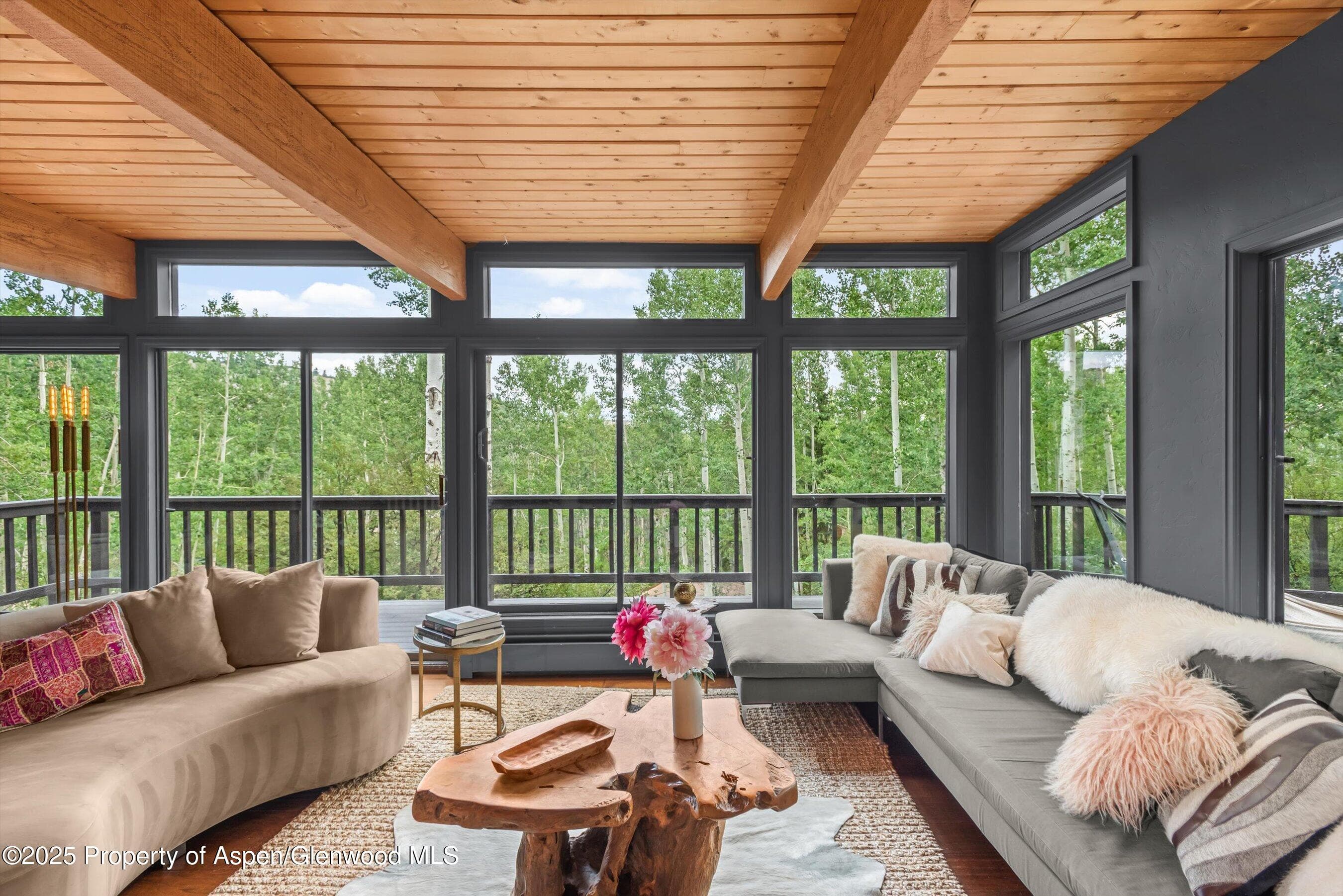 49 Elk Ridge Lane, Snowmass Village, CO 81615 - Photo 4