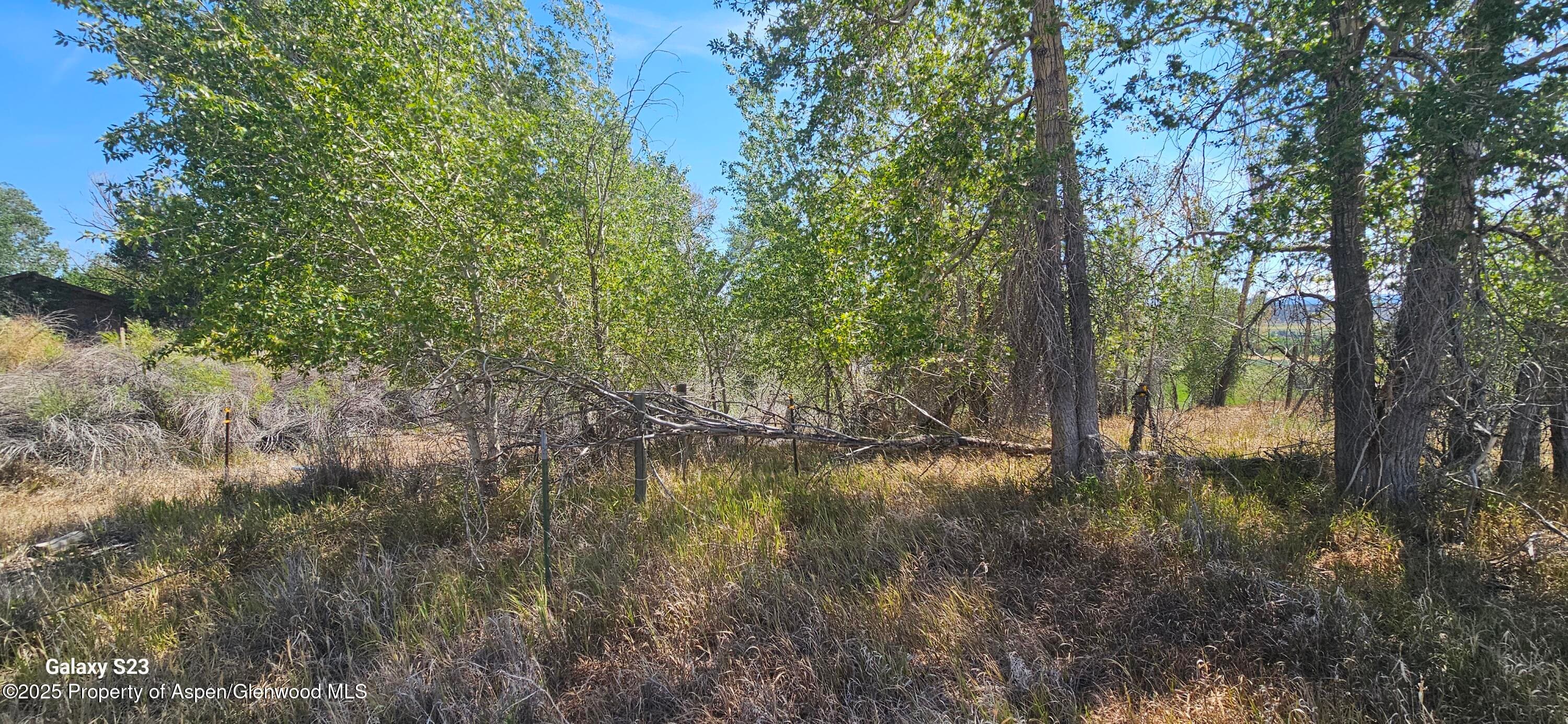 TBD Underwoods Lane, Montrose, CO 81403 - Photo 2