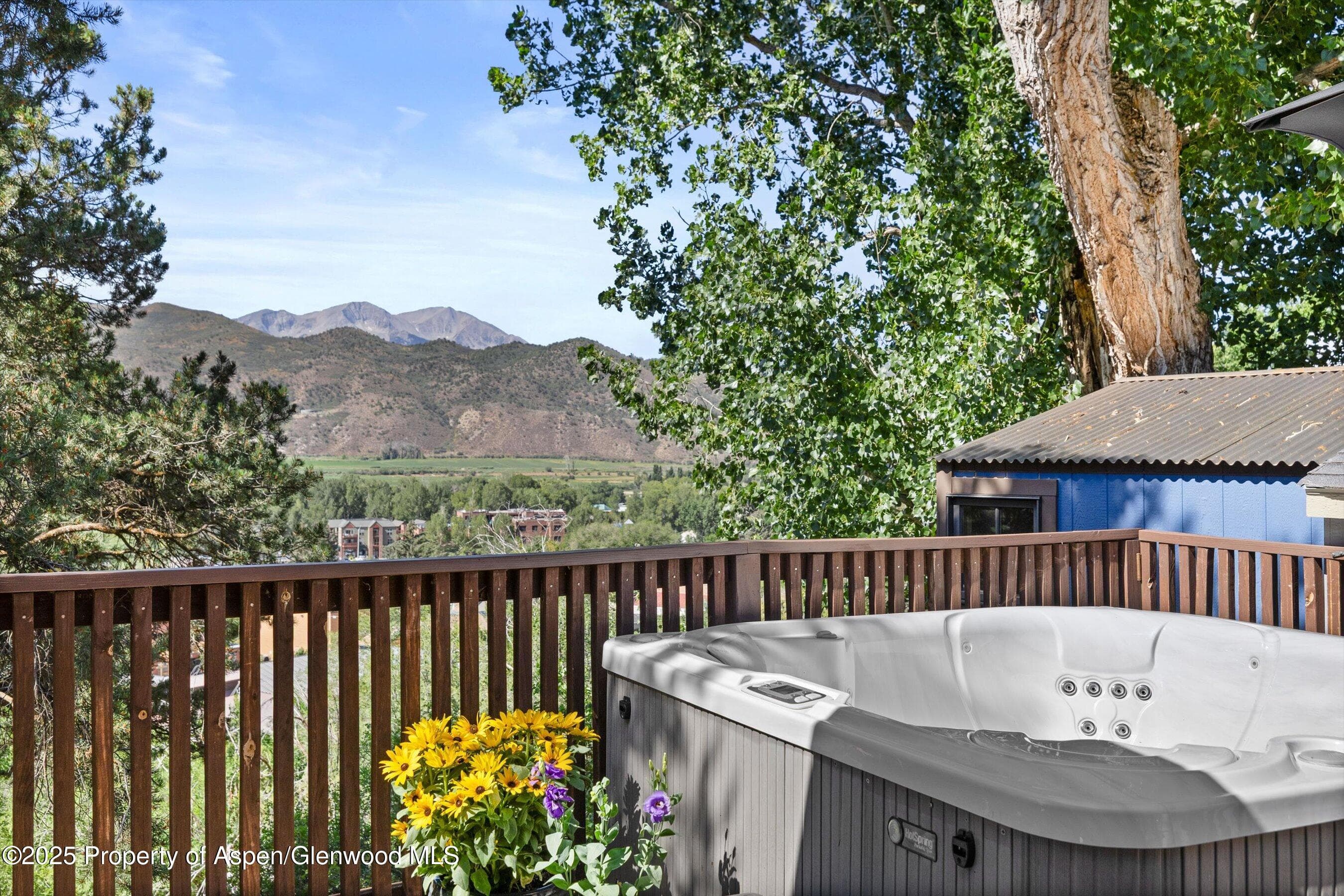 217 Longhorn Lane, Basalt, CO 81621 - Photo 17