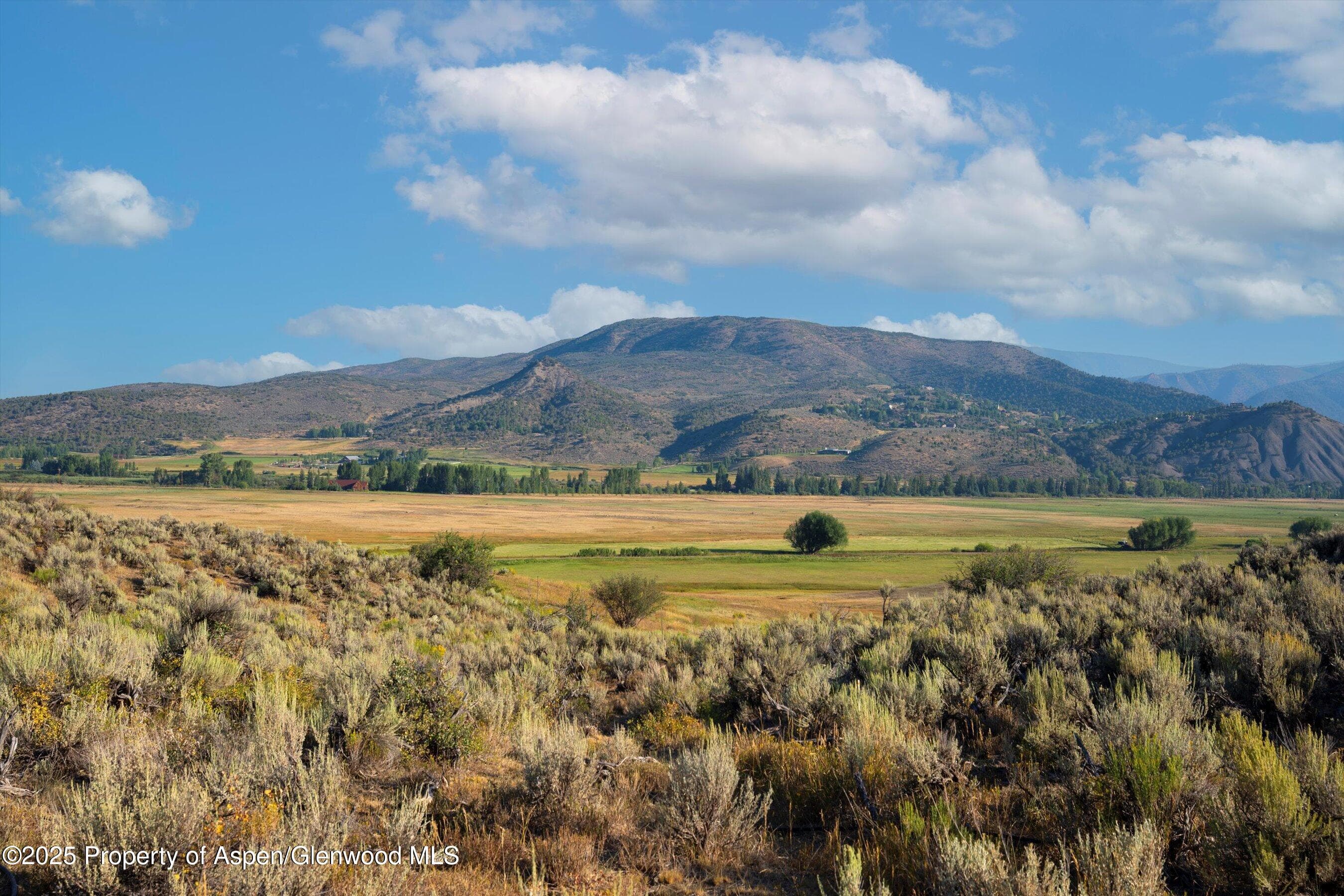 TBD Lazy O Road, Snowmass, CO 81654 - Photo 15