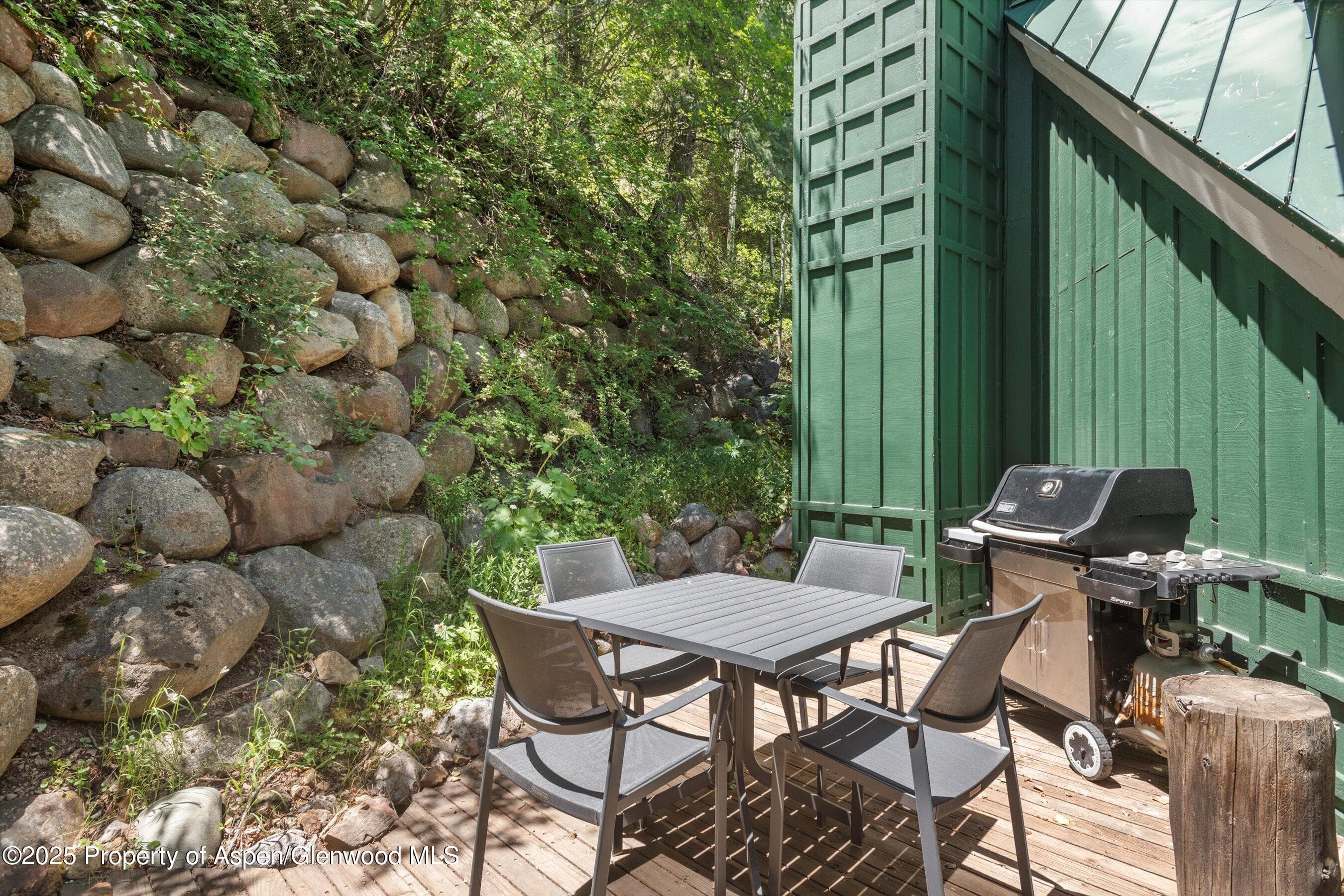 1115 Ute Avenue, Aspen, CO 81611 - Photo 35
