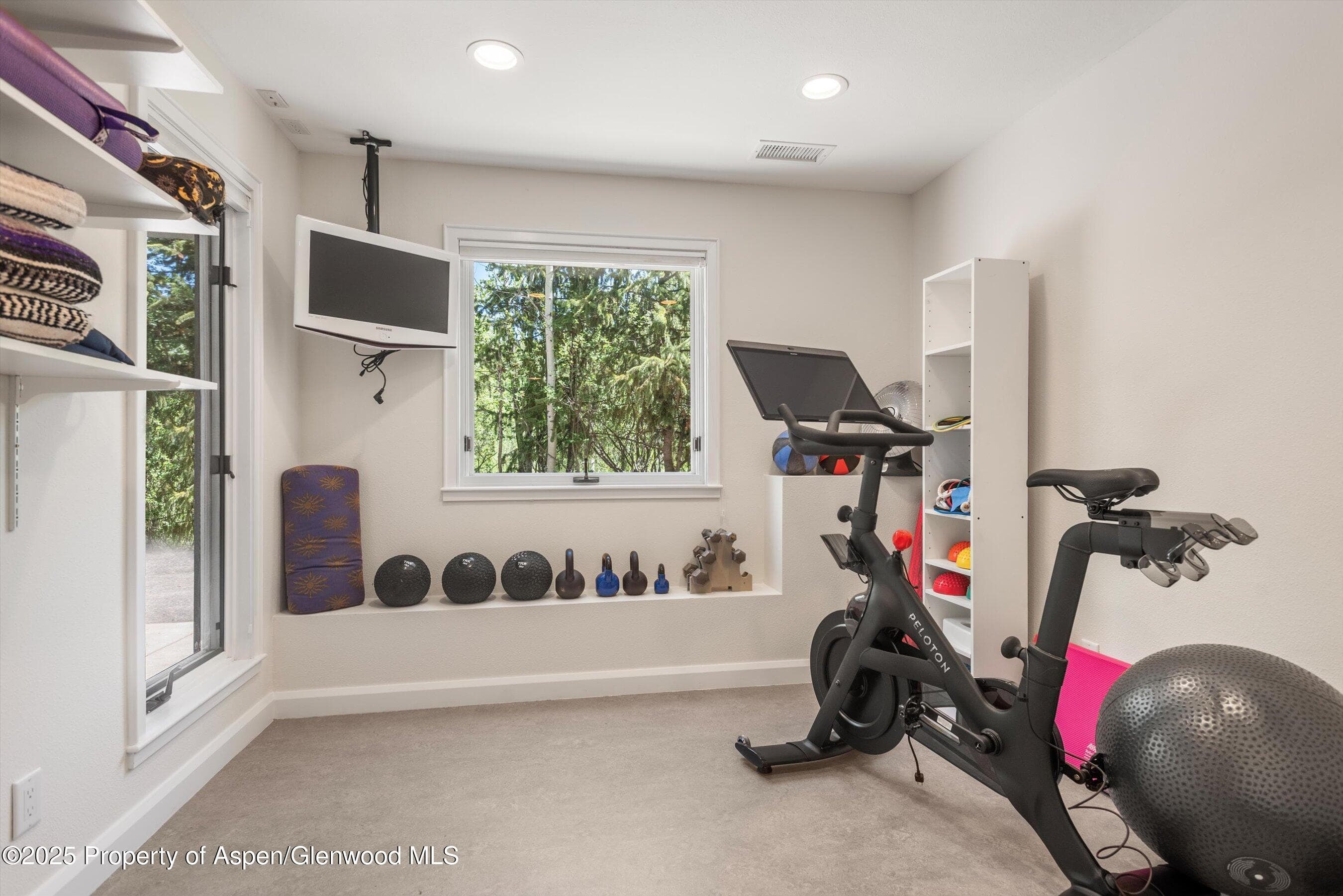 1115 Ute Avenue, Aspen, CO 81611 - Photo 33