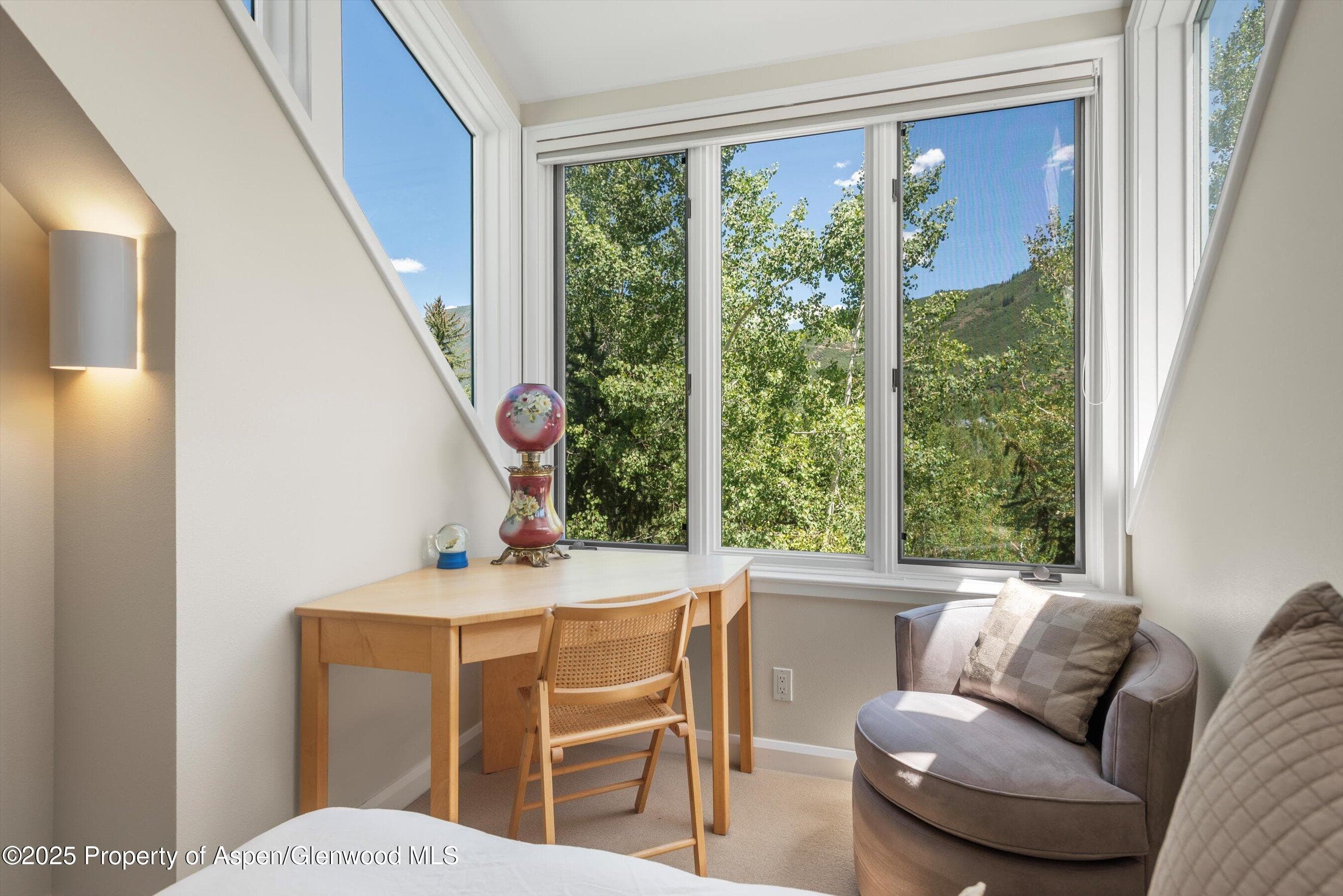 1115 Ute Avenue, Aspen, CO 81611 - Photo 25