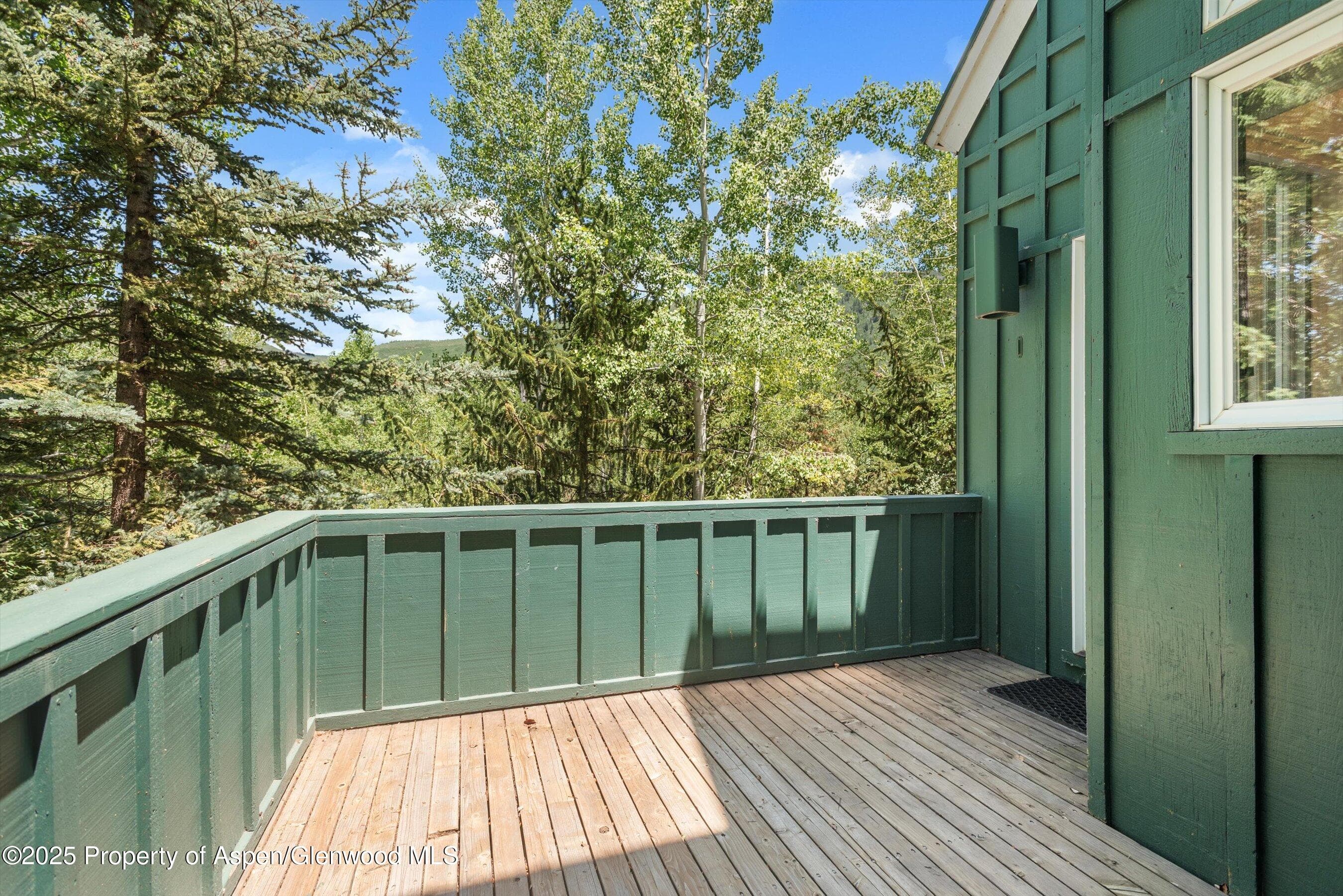 1115 Ute Avenue, Aspen, CO 81611 - Photo 21