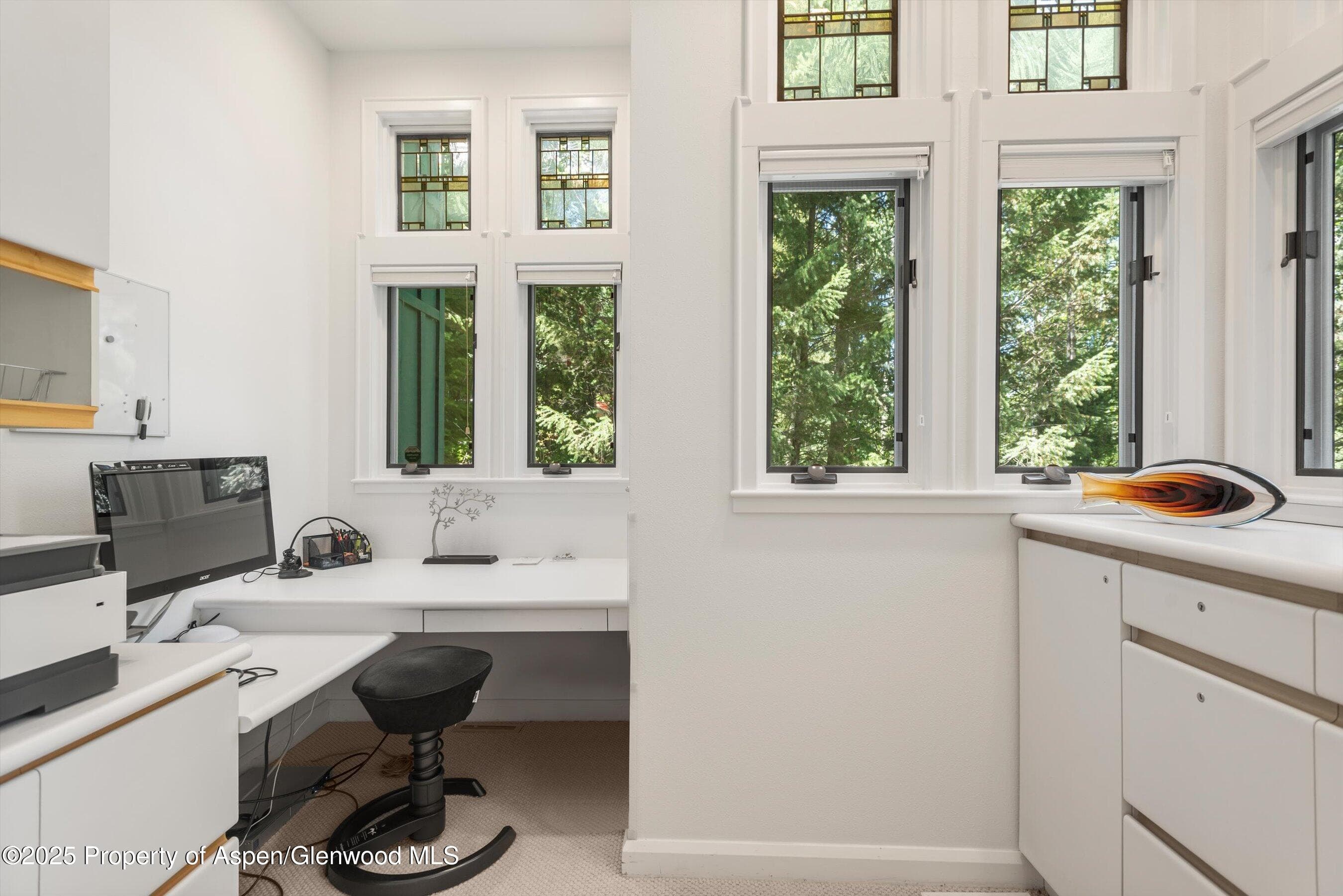 1115 Ute Avenue, Aspen, CO 81611 - Photo 20