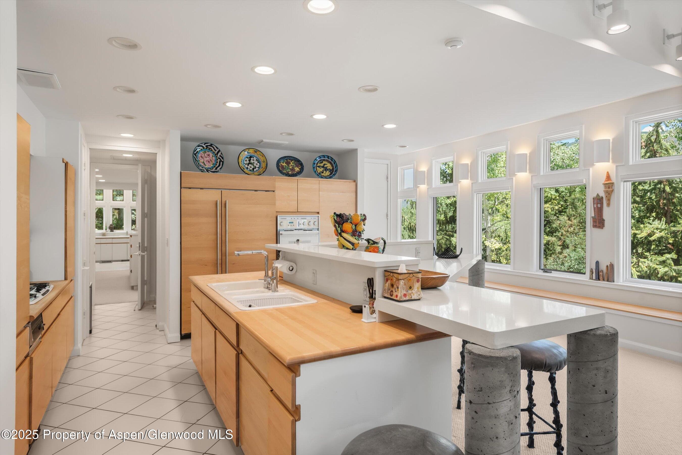 1115 Ute Avenue, Aspen, CO 81611 - Photo 12