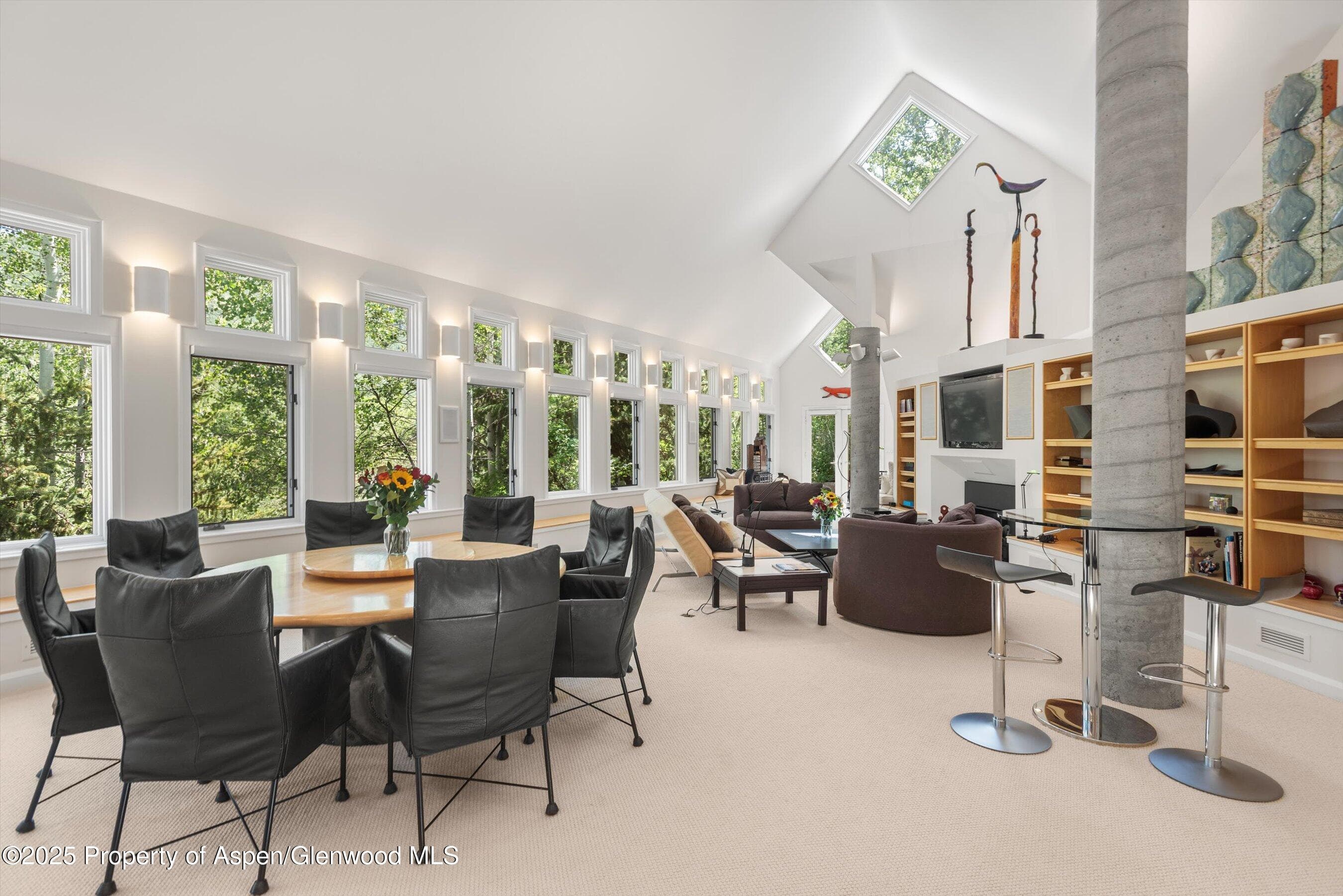 1115 Ute Avenue, Aspen, CO 81611 - Photo 4