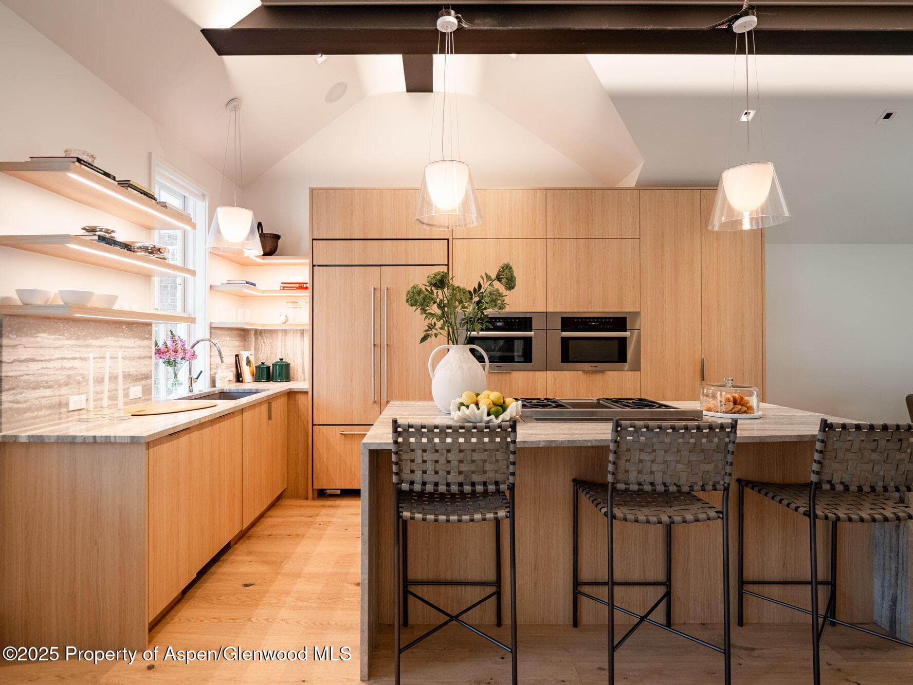 227 E Main Street, Aspen, CO 81611 - Photo 4