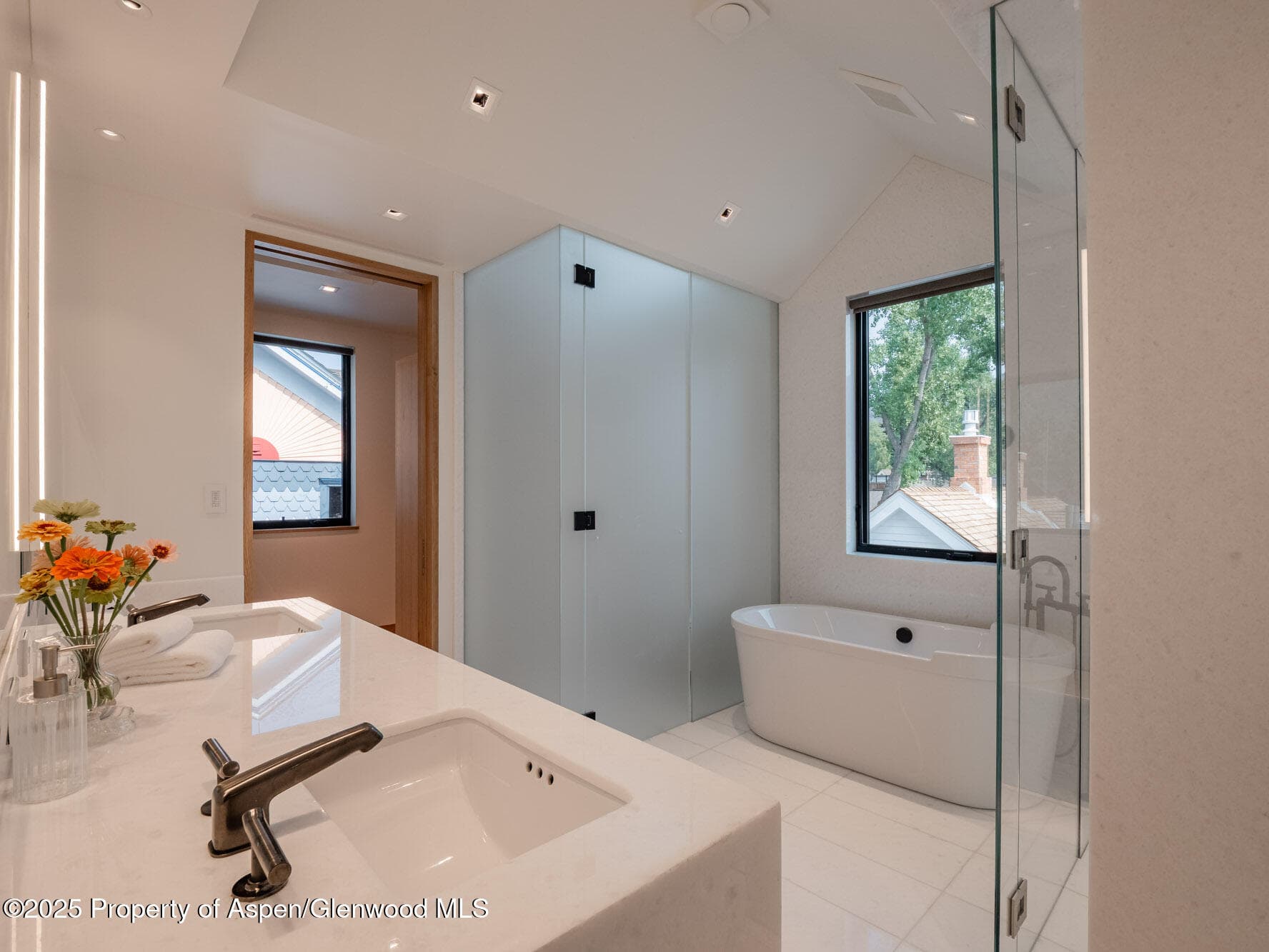 227 E Main Street, Aspen, CO 81611 - Photo 22