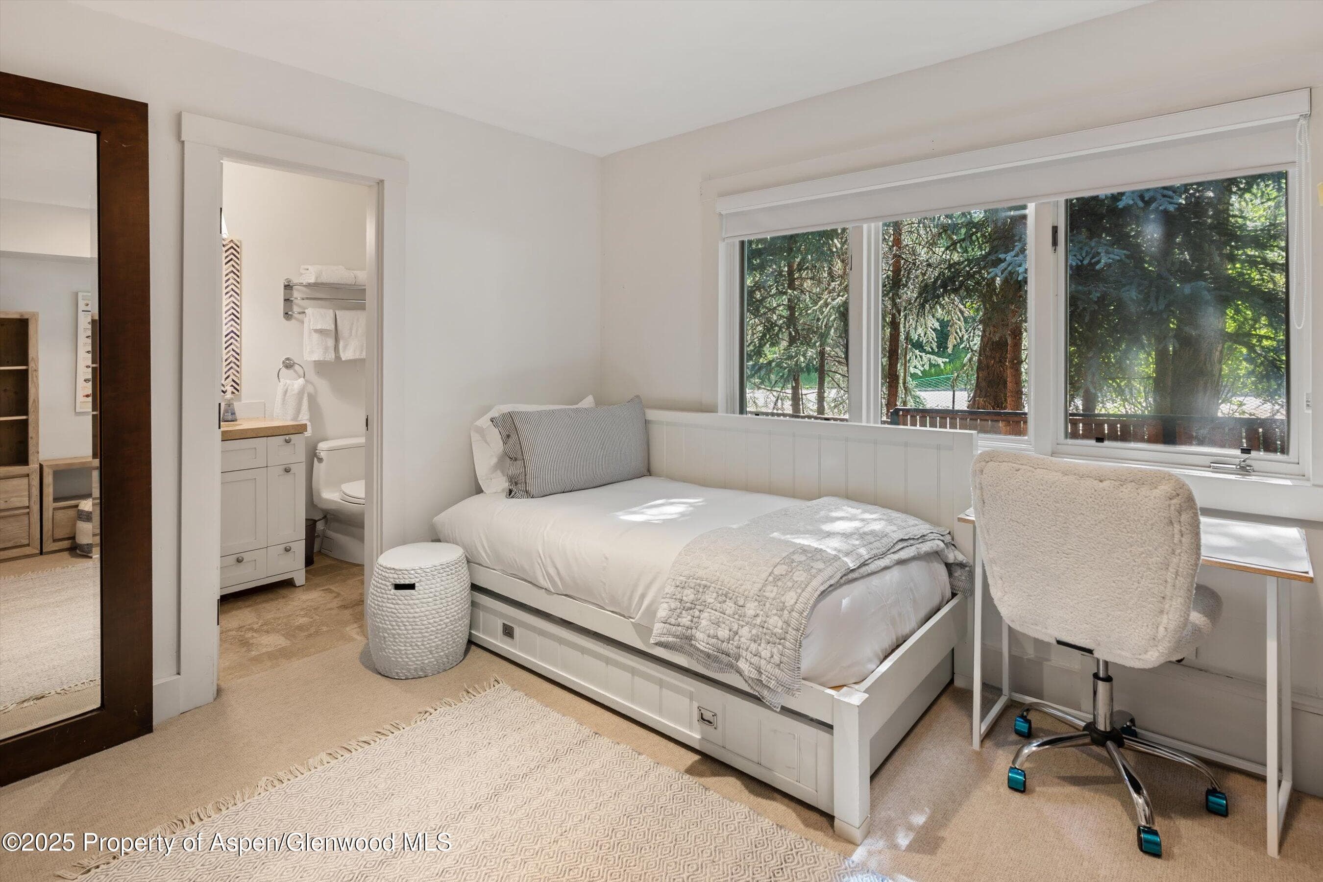 901 W FRANCIS Street, Aspen, CO 81611 - Photo 16