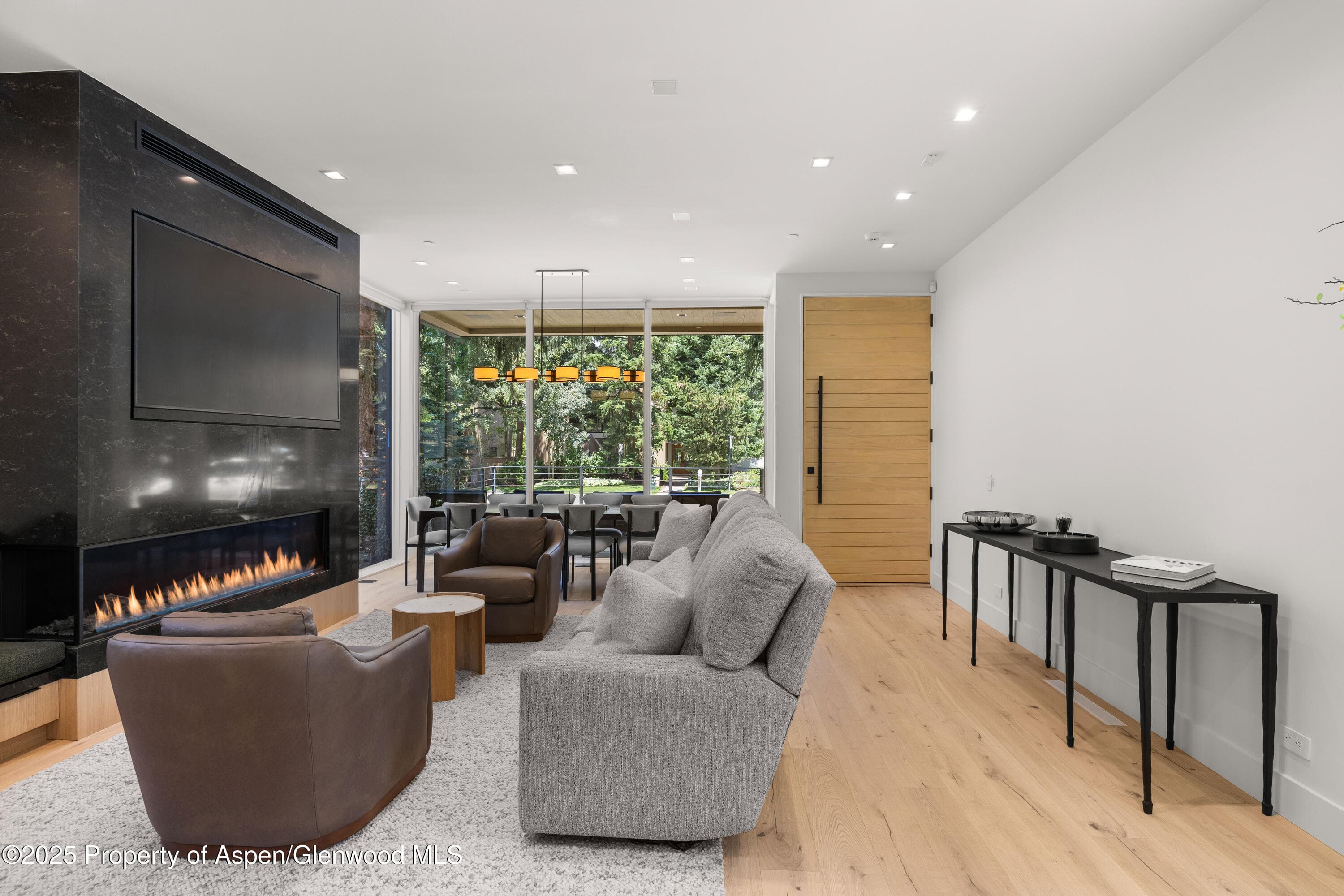 219 W Bleeker Street, Aspen, CO 81611 - Photo 9