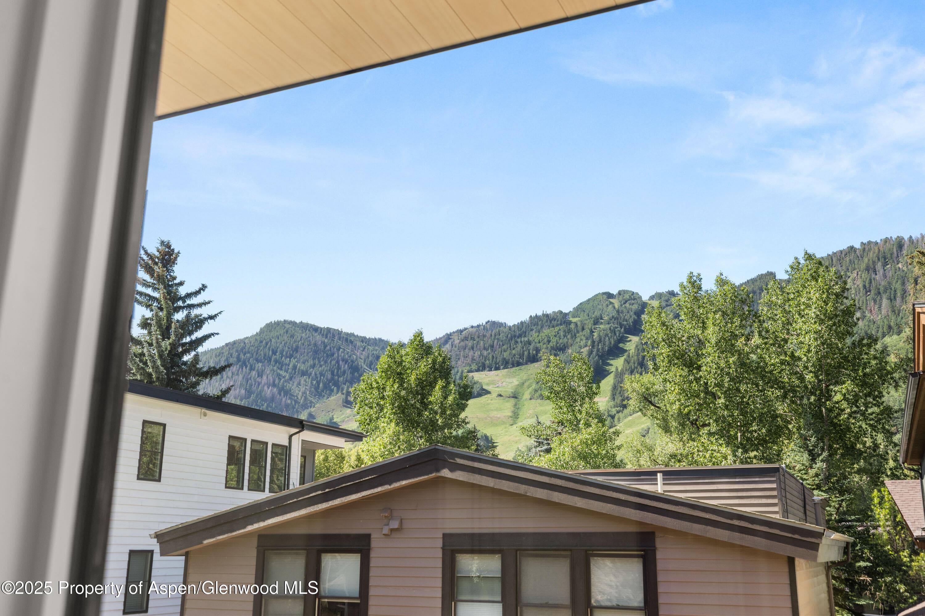 219 W Bleeker Street, Aspen, CO 81611 - Photo 30