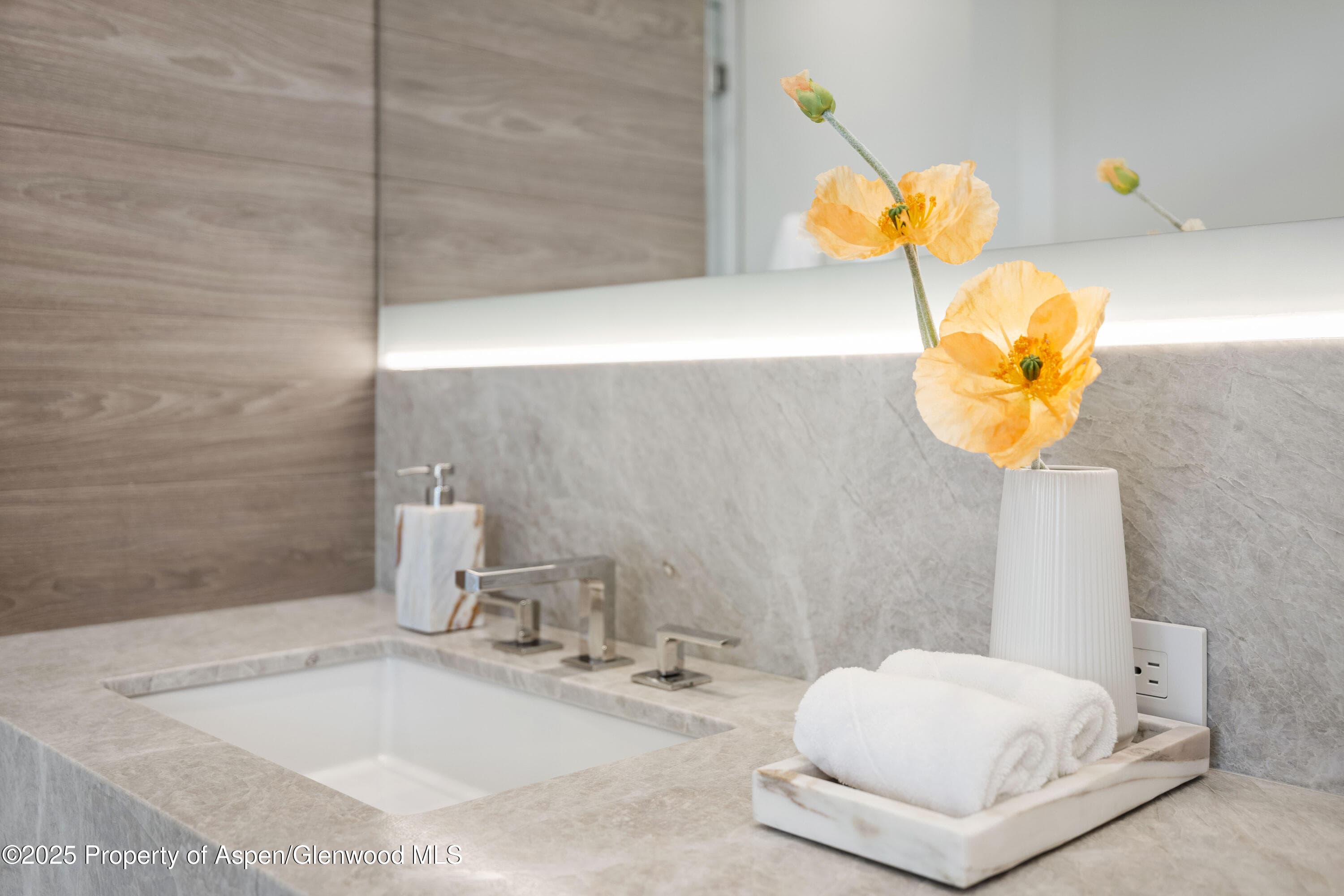 219 W Bleeker Street, Aspen, CO 81611 - Photo 33