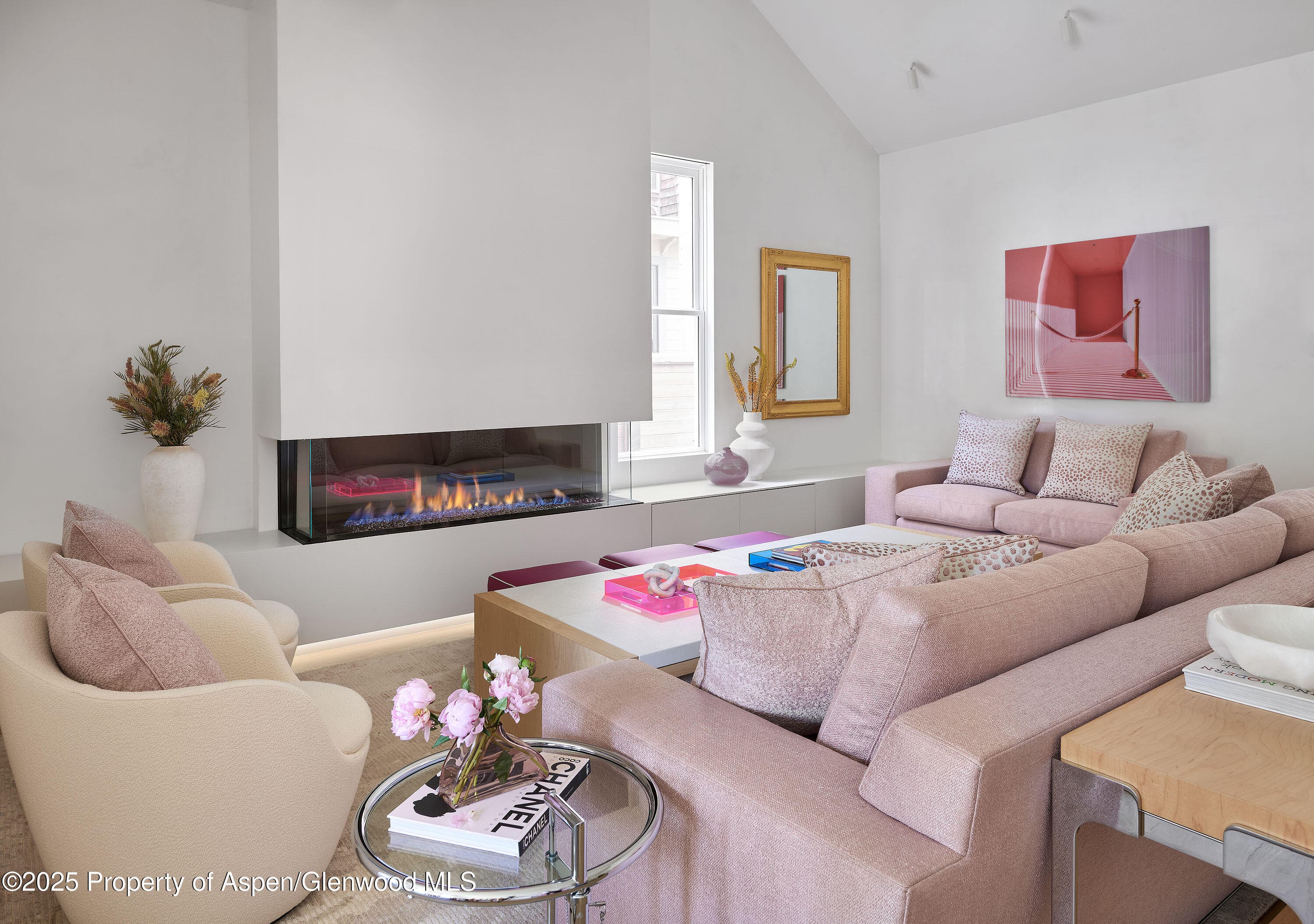 227 E Bleeker Street, Aspen, CO 81611 - Photo 18