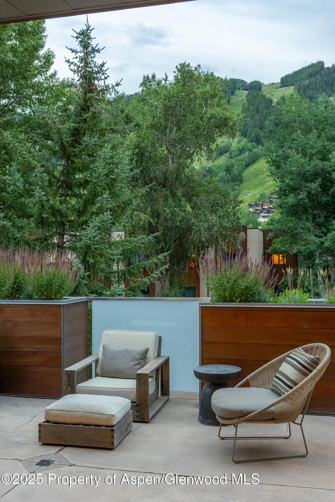 100 E Cooper Avenue 11, Aspen, CO 81611 - Photo 5
